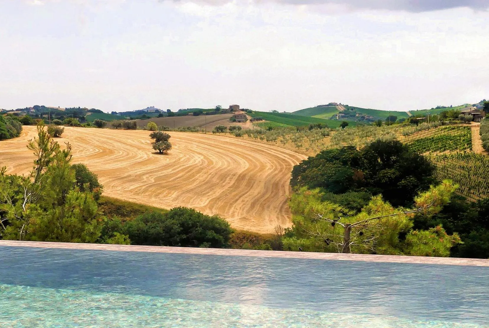 Natural landscape in Relais Cocci Grifoni - Panoramic Wine Resort