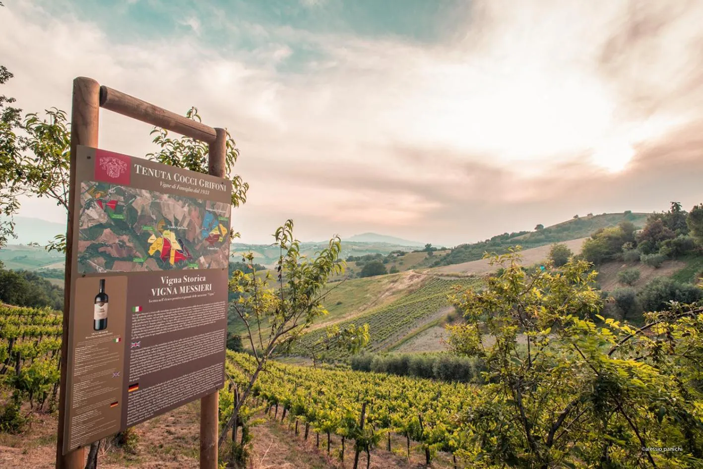Natural landscape in Relais Cocci Grifoni - Panoramic Wine Resort