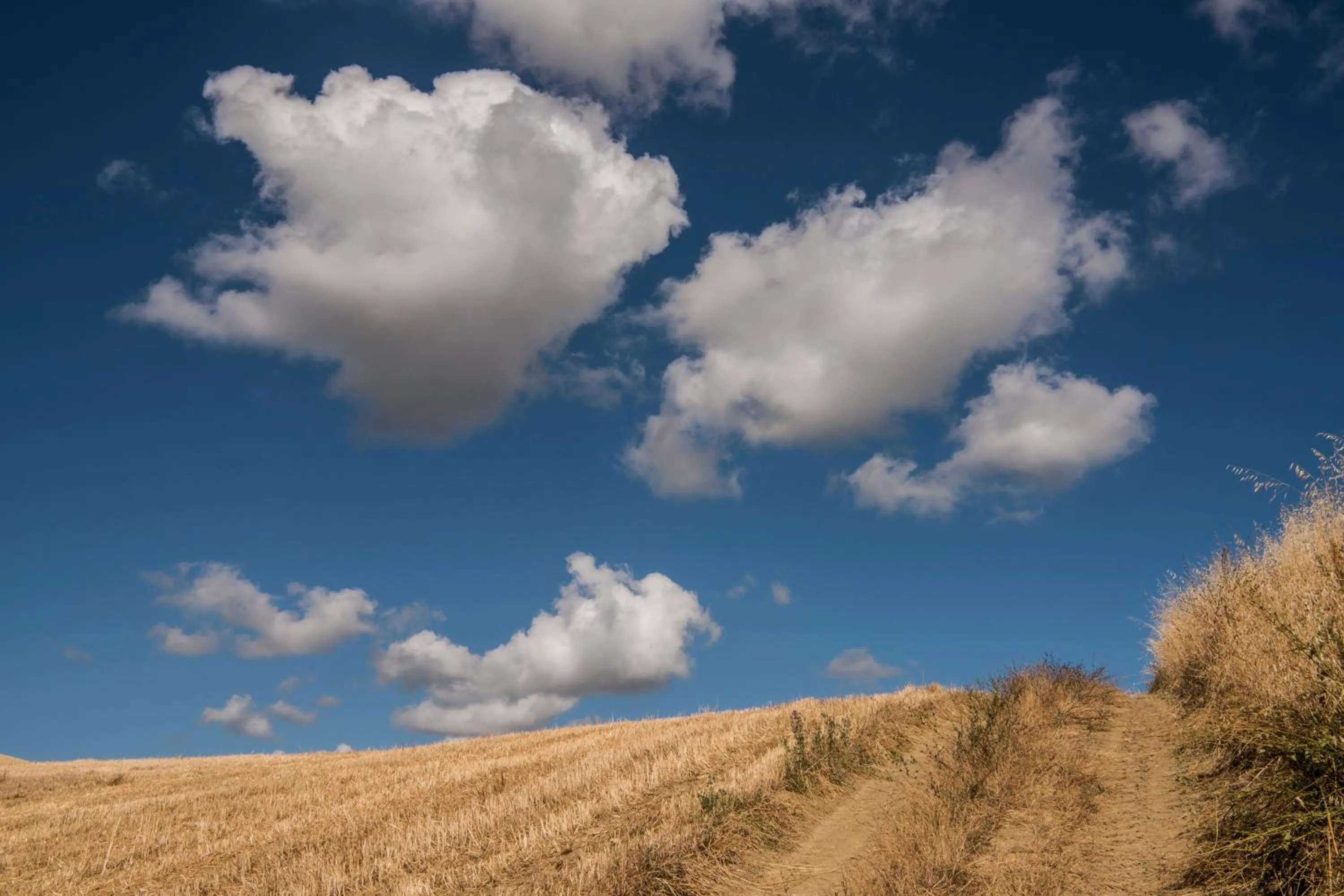 Natural landscape in Relais Cocci Grifoni - Panoramic Wine Resort