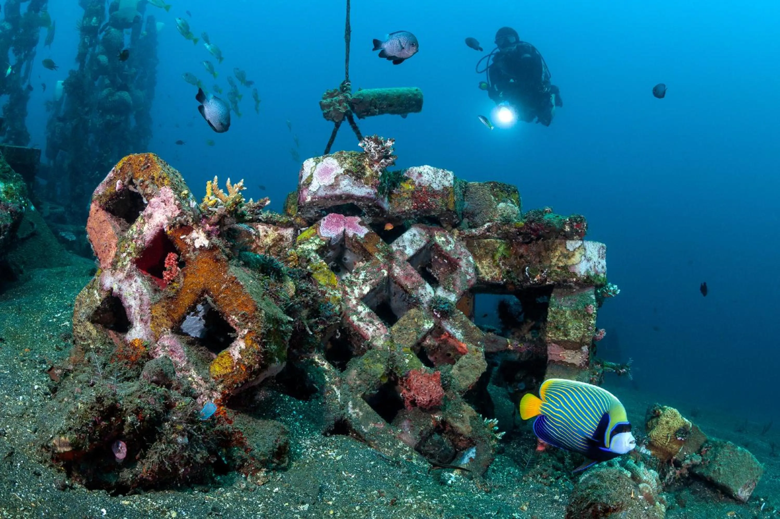 Activities in Siddhartha Oceanfront Resort & Spa Bali