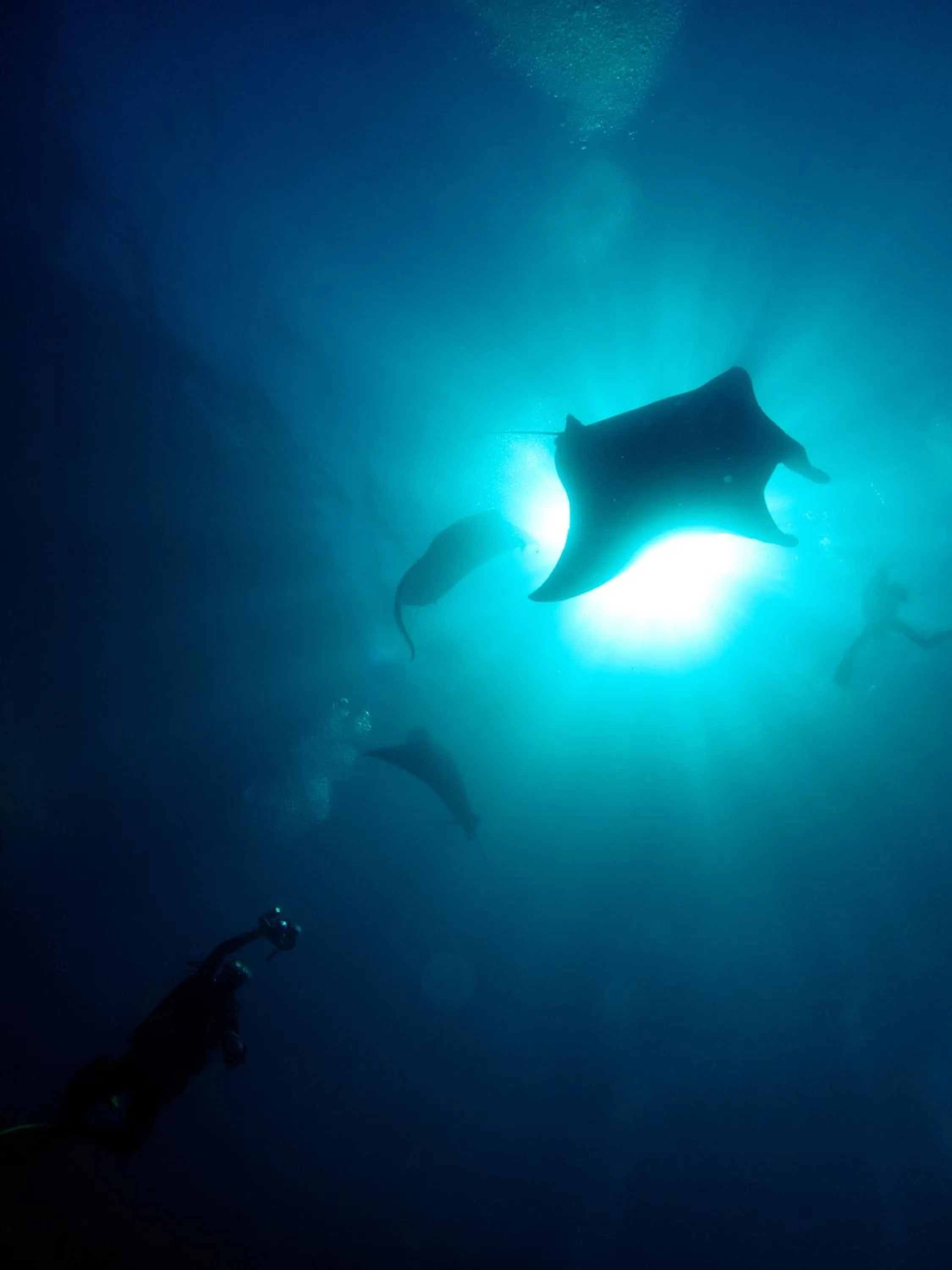 Diving in Siddhartha Oceanfront Resort & Spa Bali