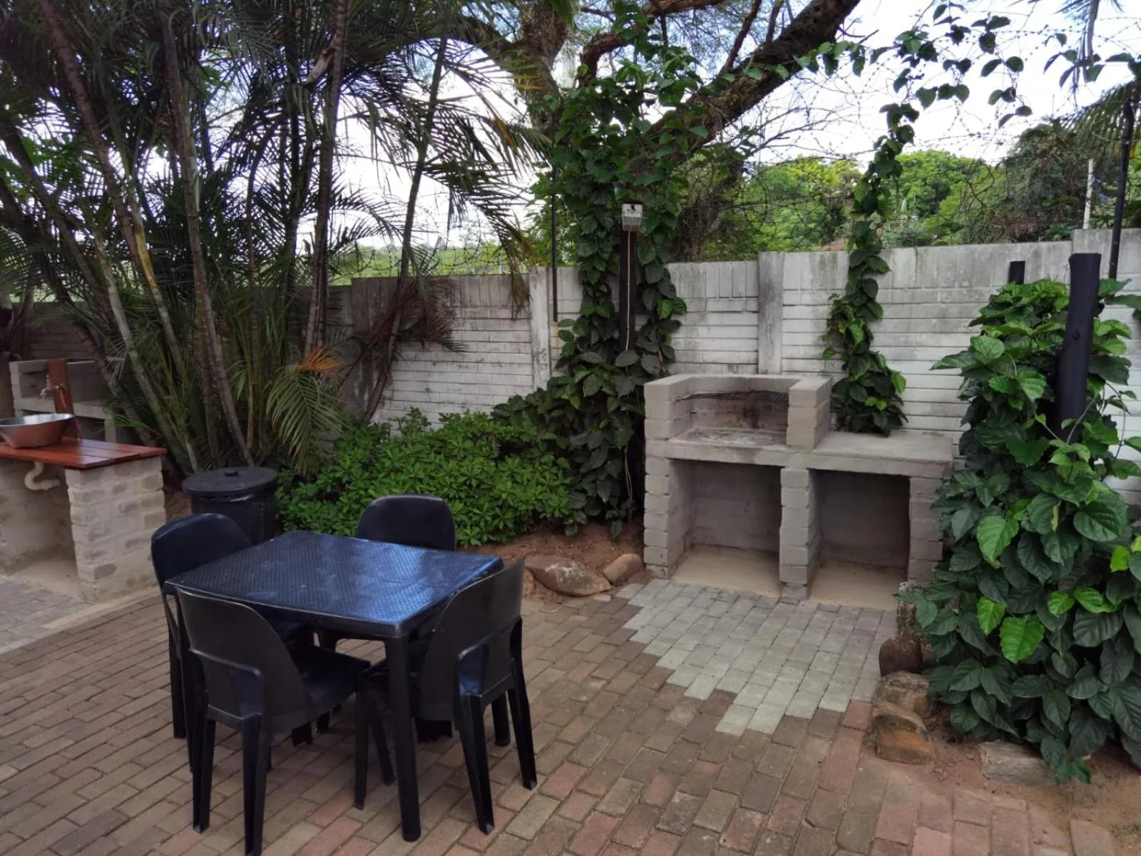 Garden in Sheba Rock Guesthouse