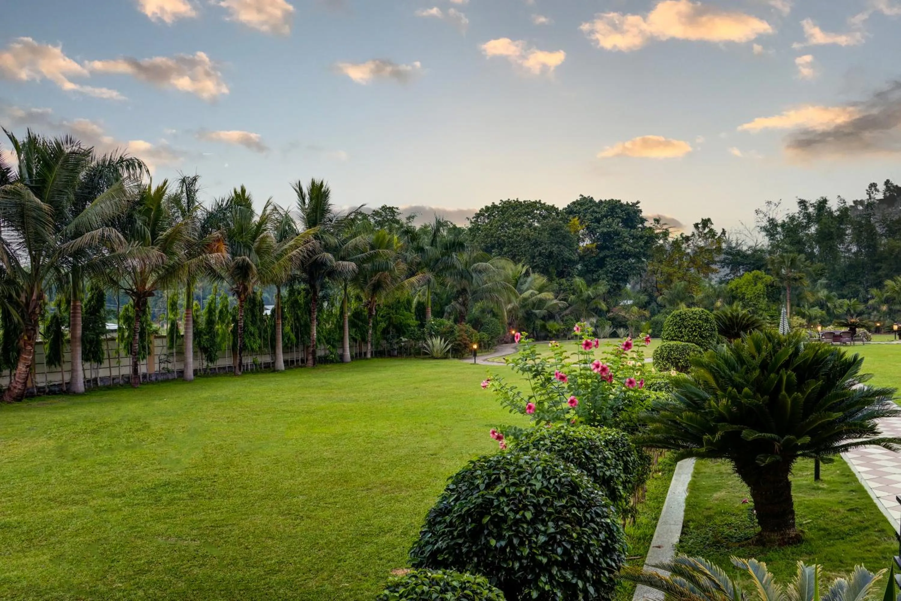 Day in The Greenwood, Tezpur