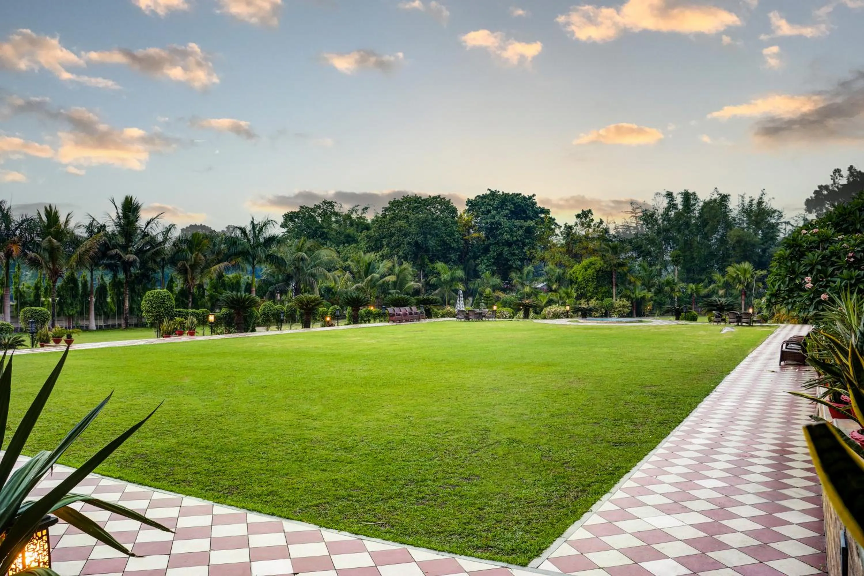 Day in The Greenwood, Tezpur