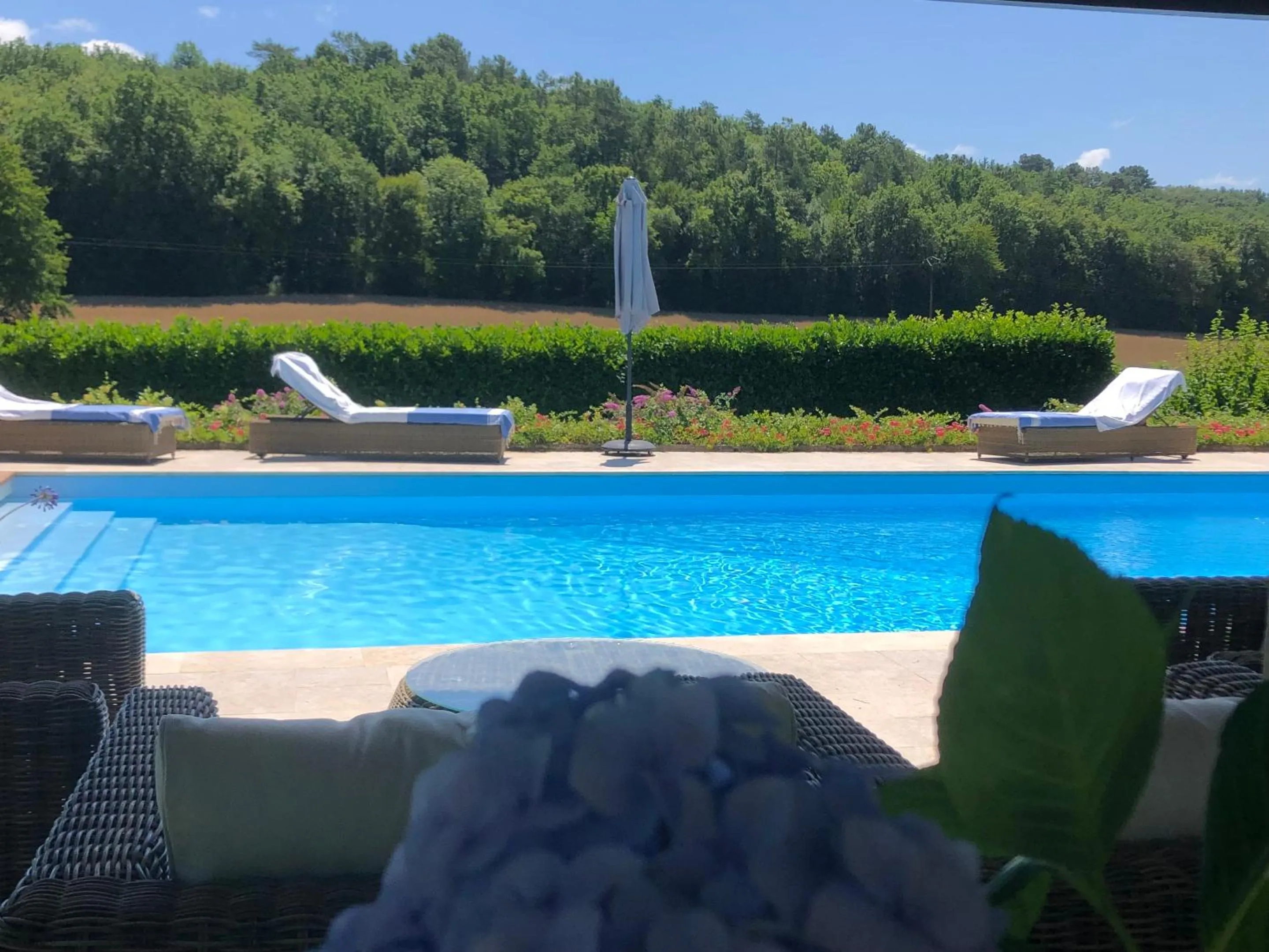 Swimming pool in La Libertie