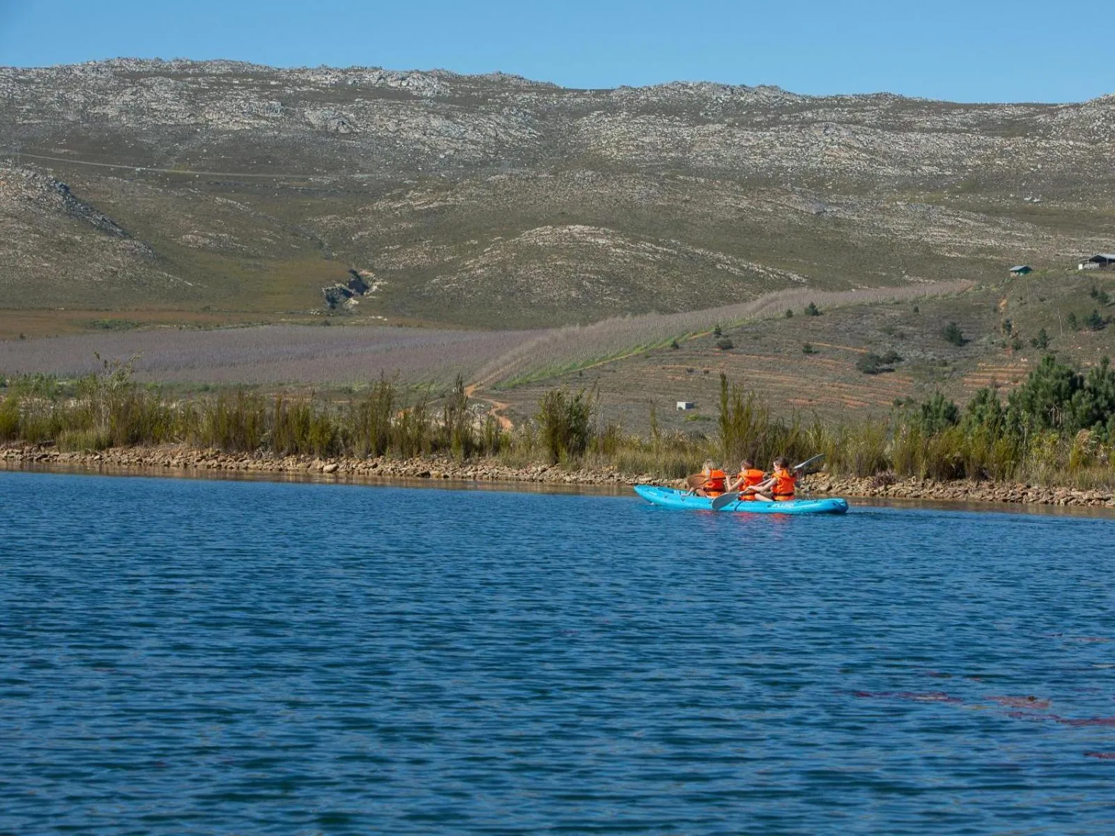 Lake view in Old Mac Daddy