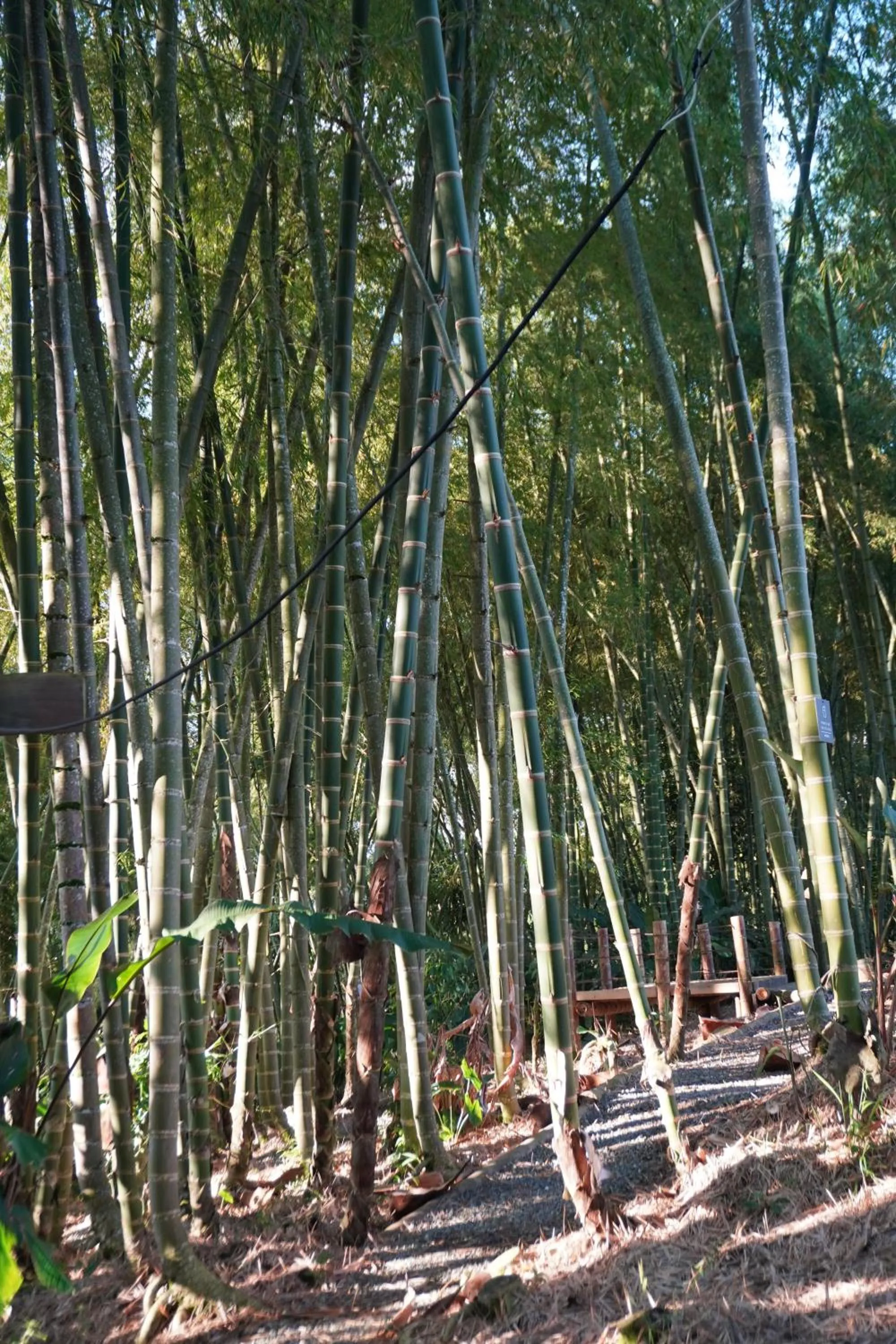 Natural landscape in Cannatel Exclusive Hotel