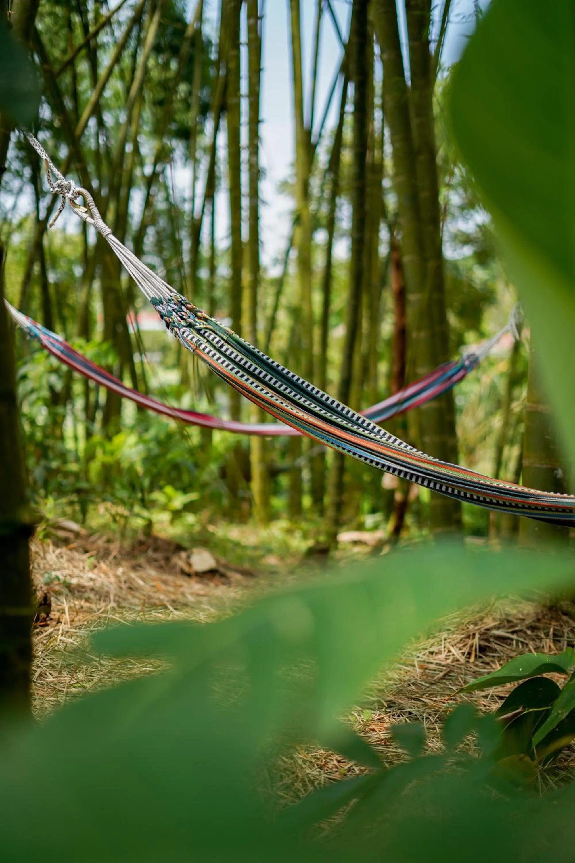 Spring in Cannatel Exclusive Hotel