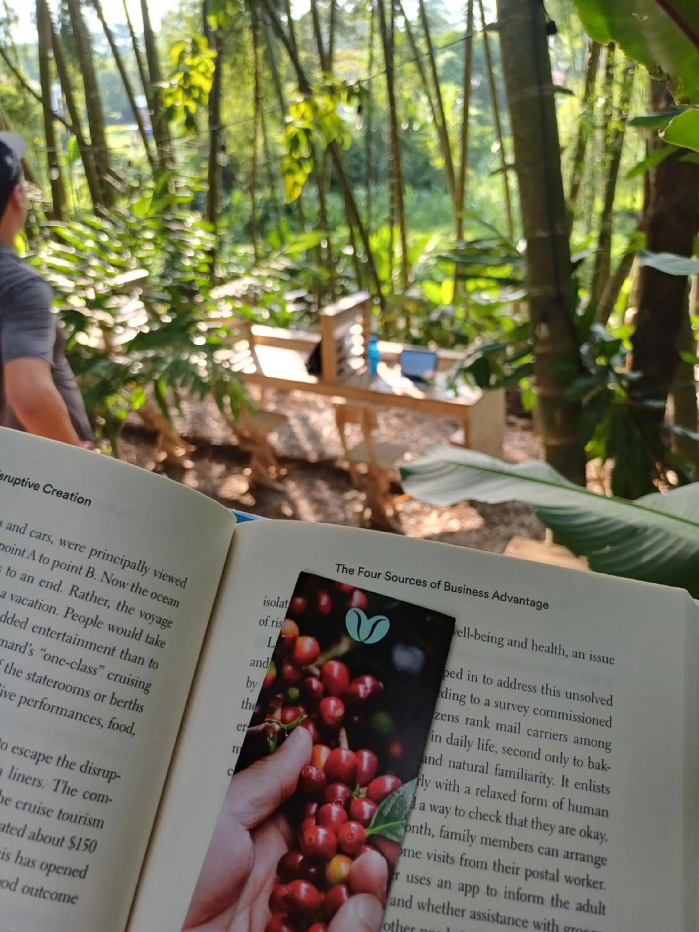 Natural landscape in Cannatel Exclusive Hotel