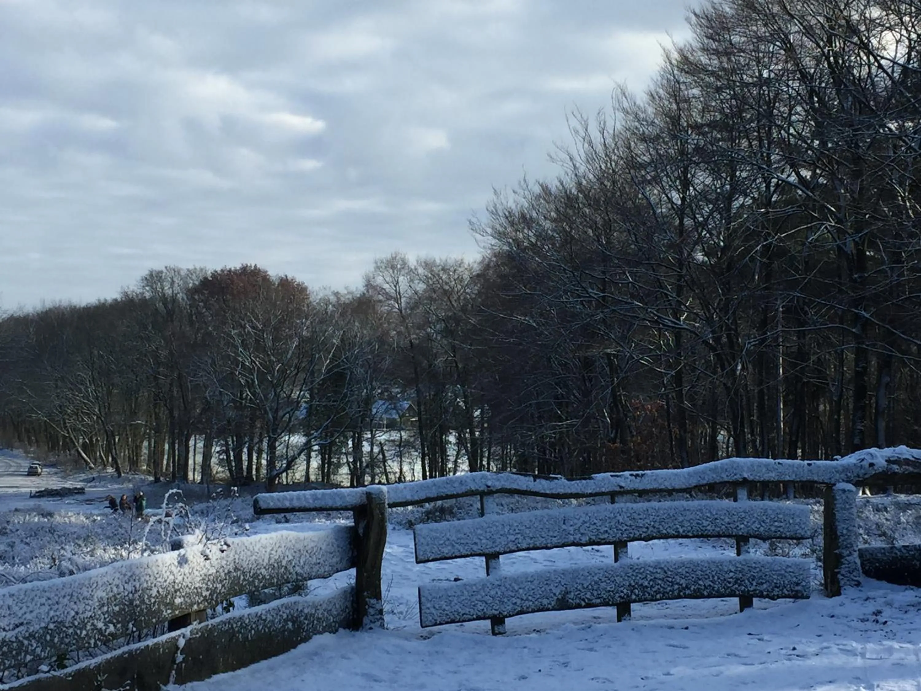 Winter in Landgoed De Uitkijk Hellendoorn