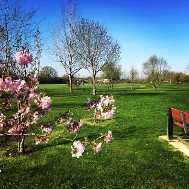 Golfcourse in Silverstone Golf Club And Hotel