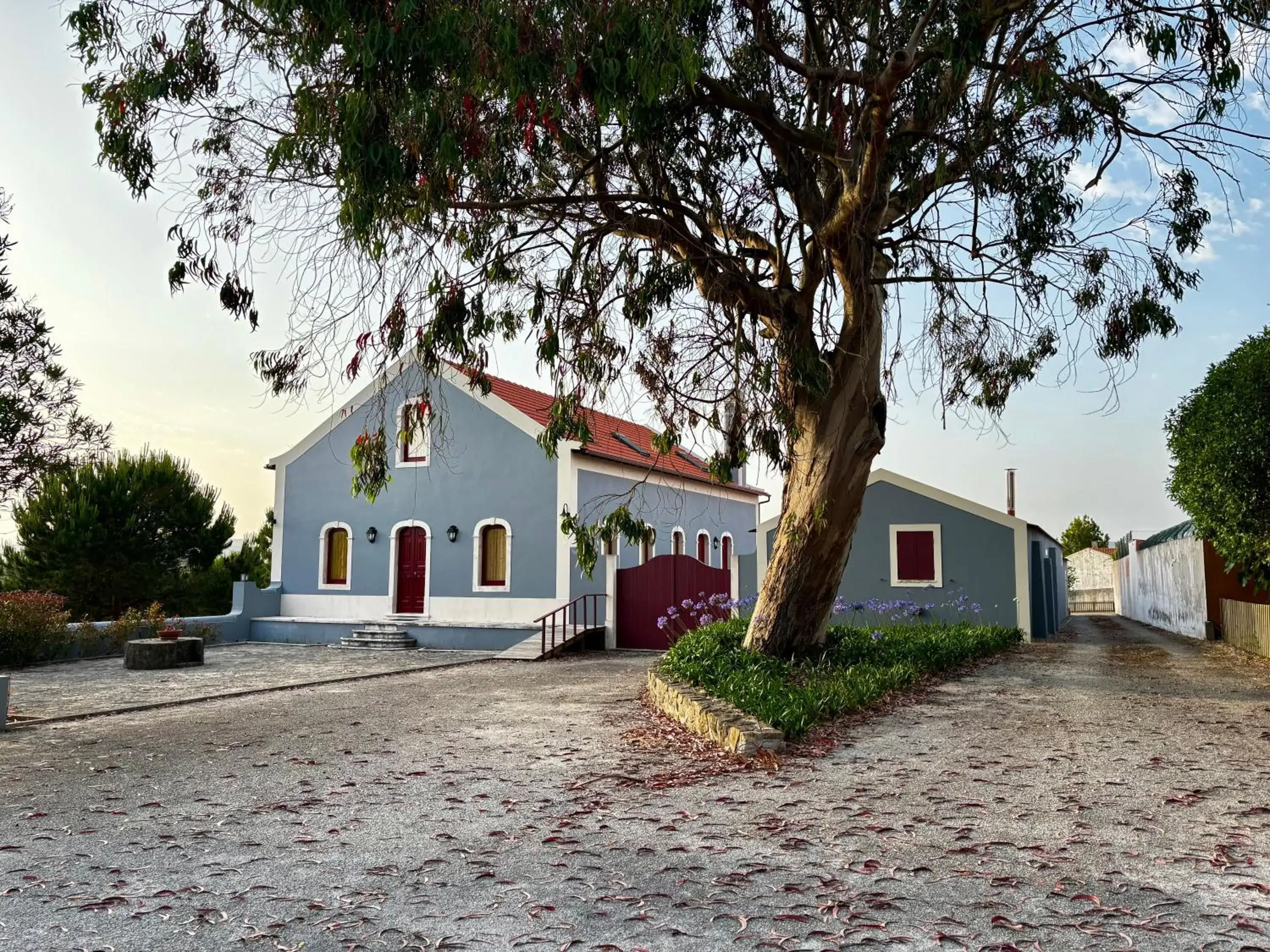 Quinta das Soizas - São Martinho Quinta das Soizas - São Martinho