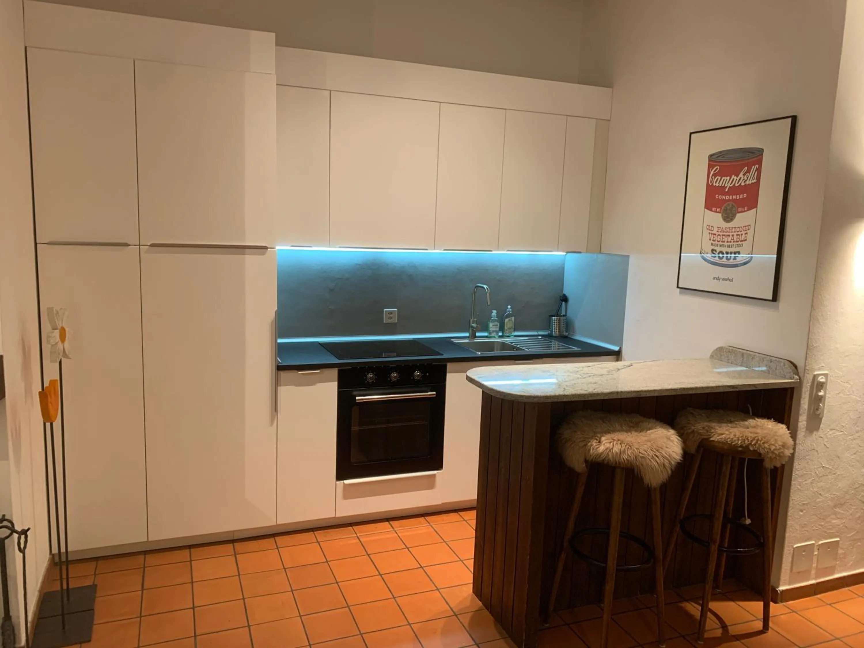 Kitchen or kitchenette in Ferienwohnung Murschetg