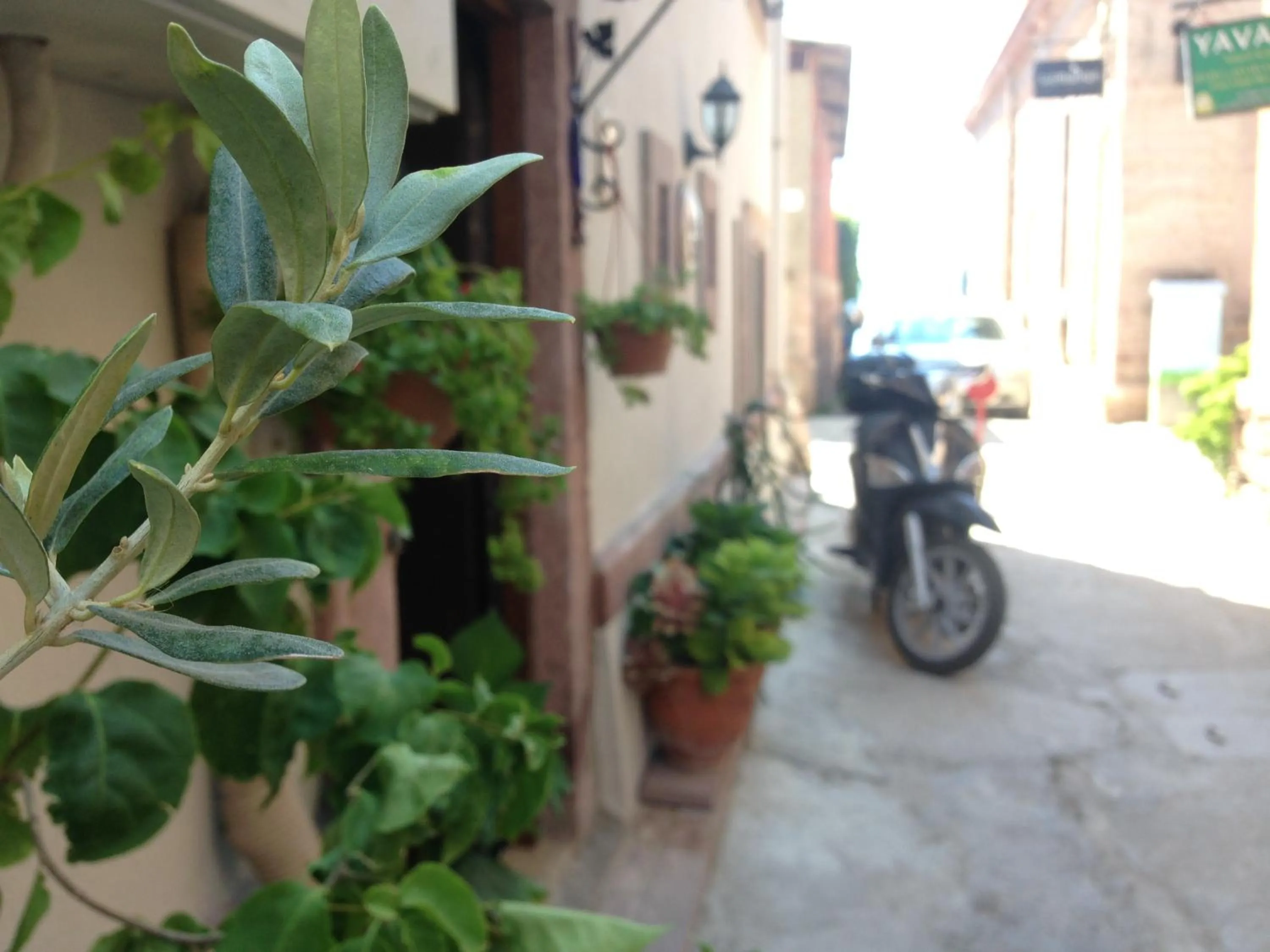 Street view in Kidalyo Hotel - Special Category