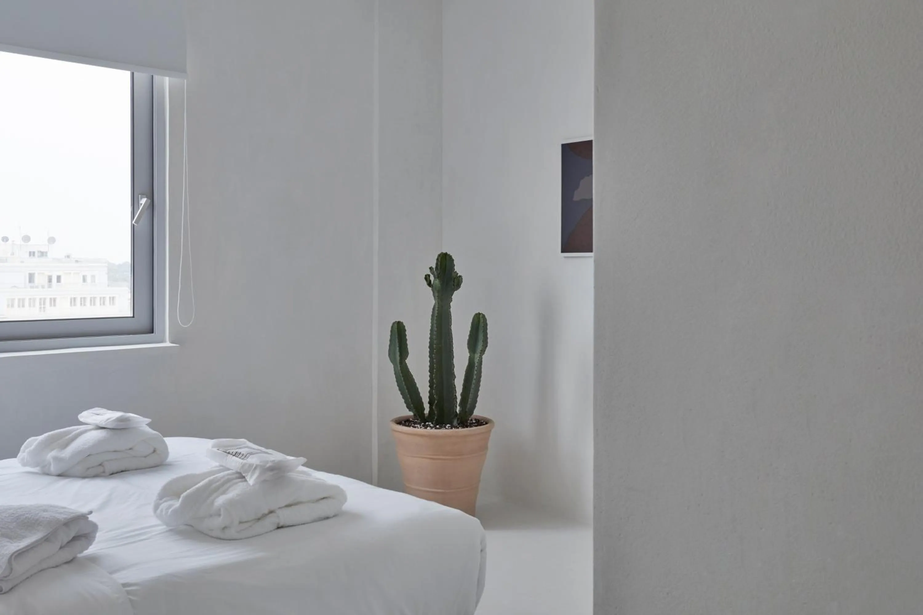 Natural landscape, Bed in Athens Penthouse