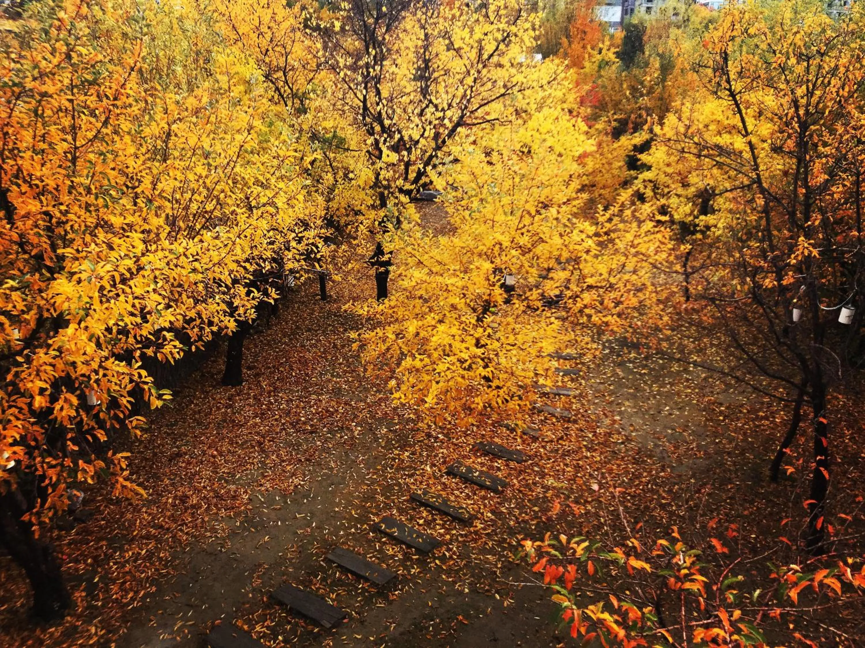 Miro Mara Boutique Hotel & Lounge Bar