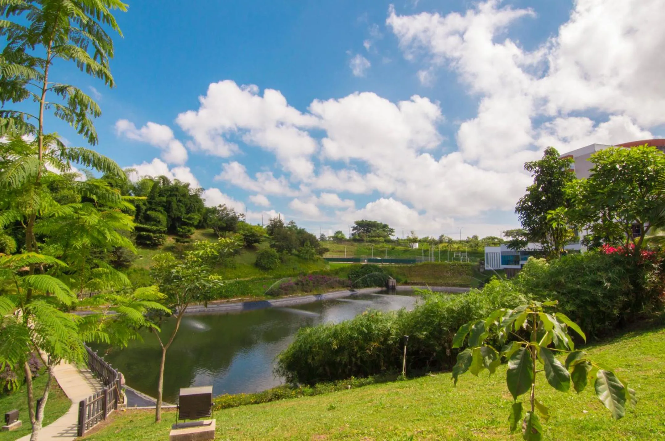 Spring in Sonesta Hotel Pereira