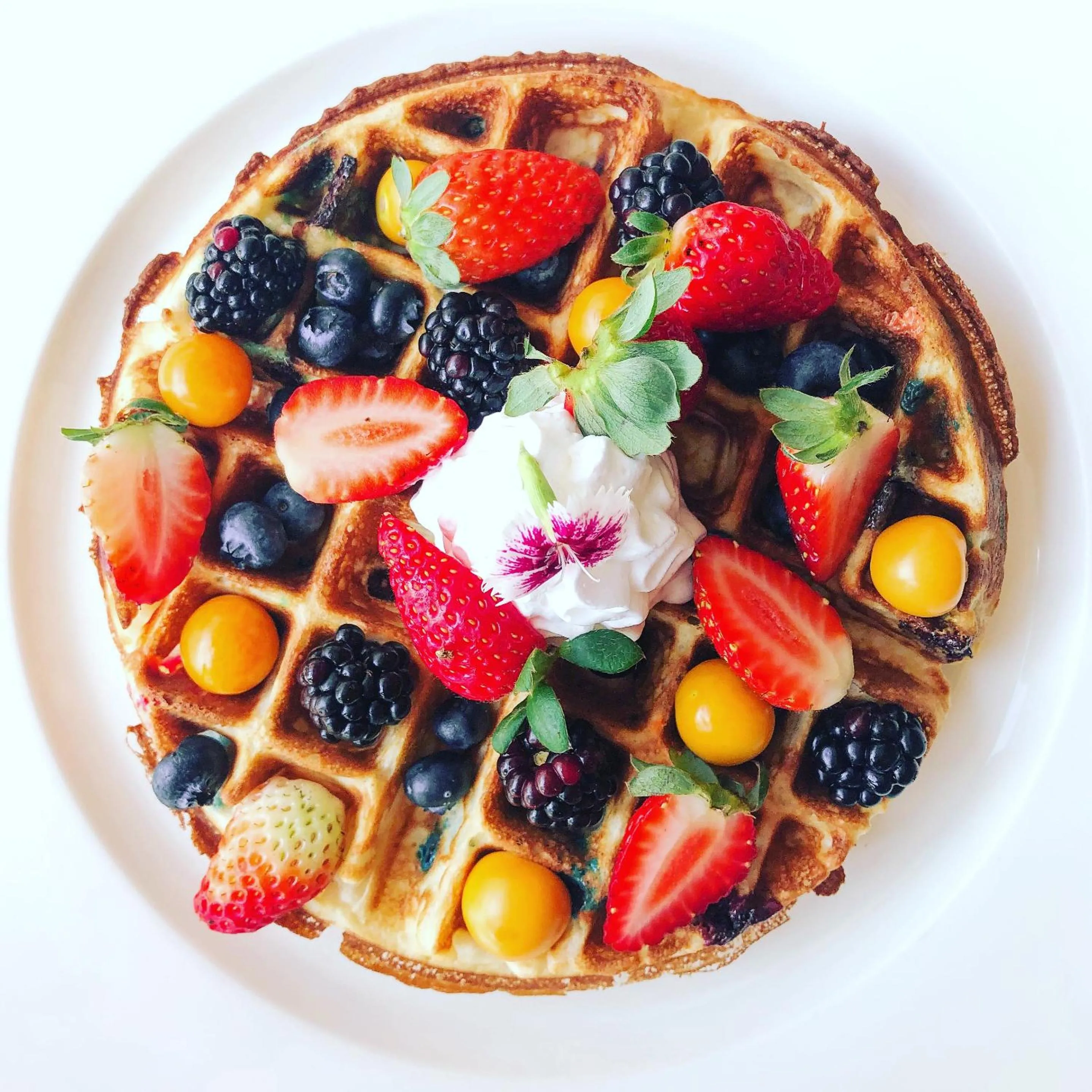 Food in Crocs Resort & Casino