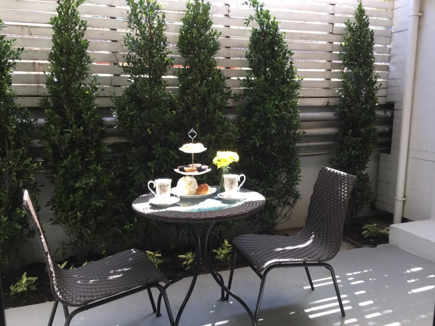 Garden in Marigold Ramkhamhaeng