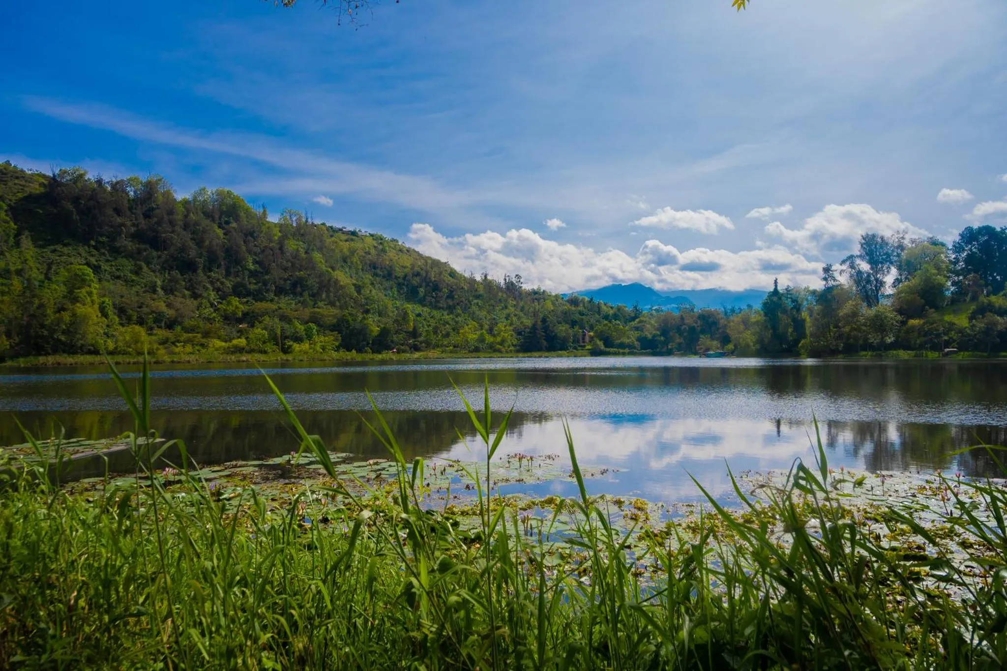 Nearby landmark in AlmazewÁ