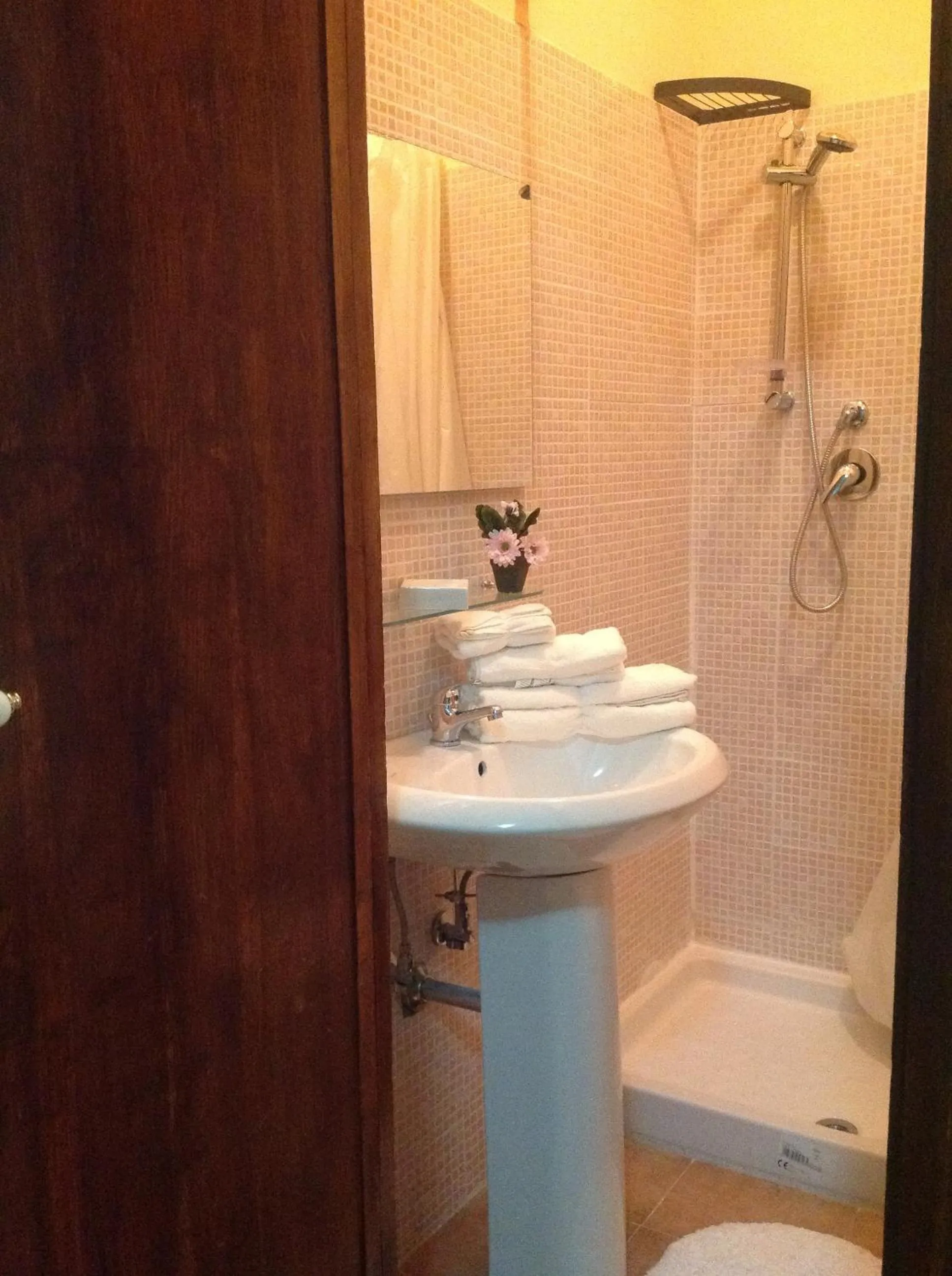 Shower in B&B Amelia