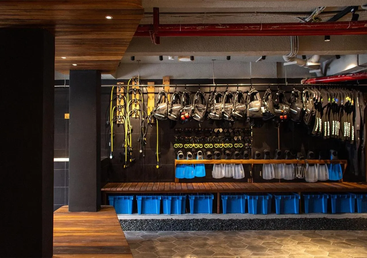 Diving in Stone Hotels Dhiffushi