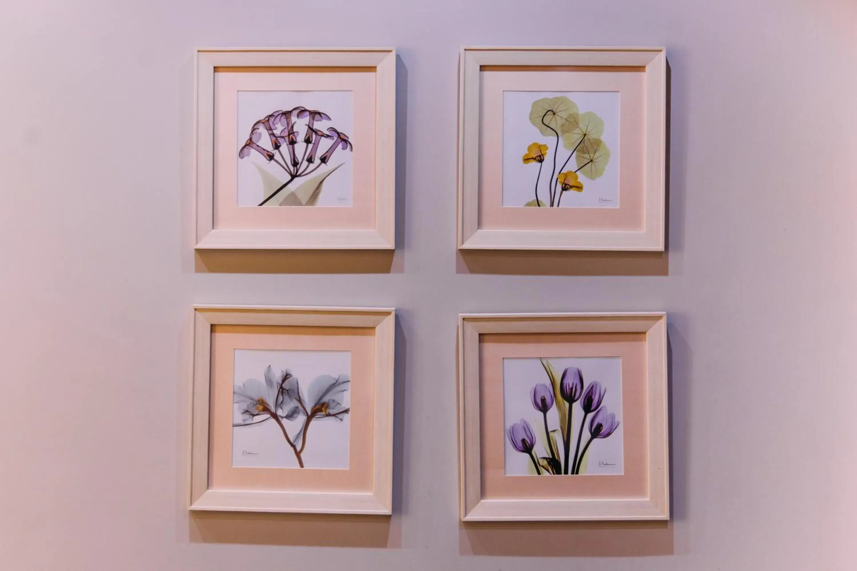 Studio in Kantar Hotel Studio in Kantar Hotel