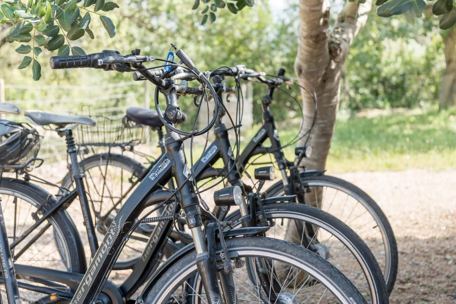 Cycling in Cas Cabo Nou Agroturismo Adults Only