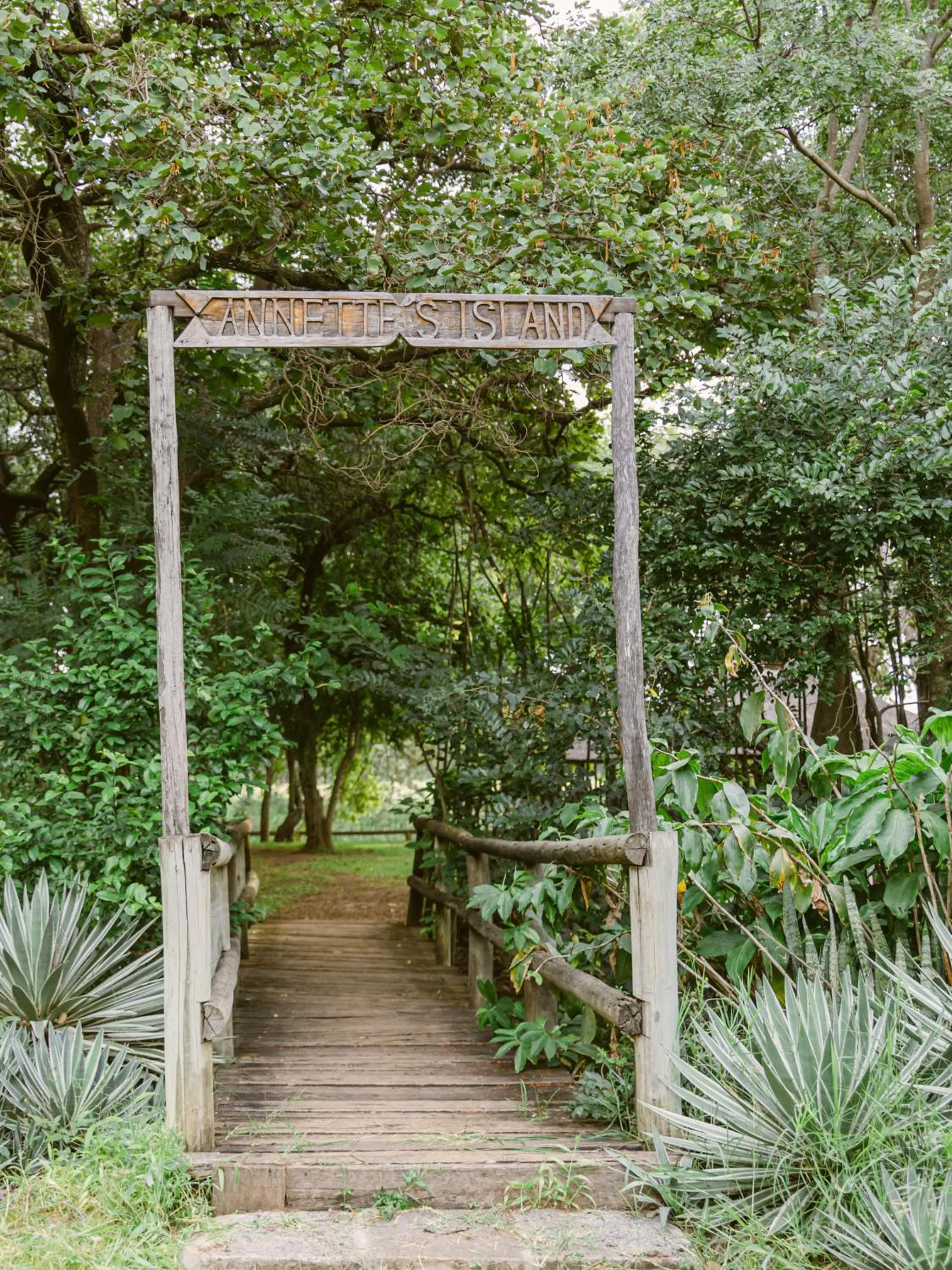 Garden in Lilayi Lodge