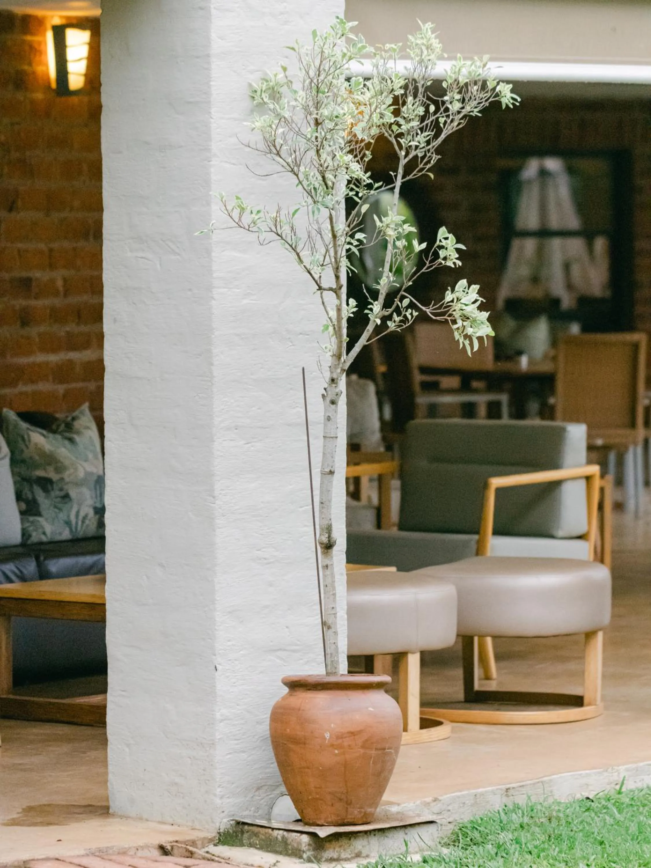 Patio in Lilayi Lodge