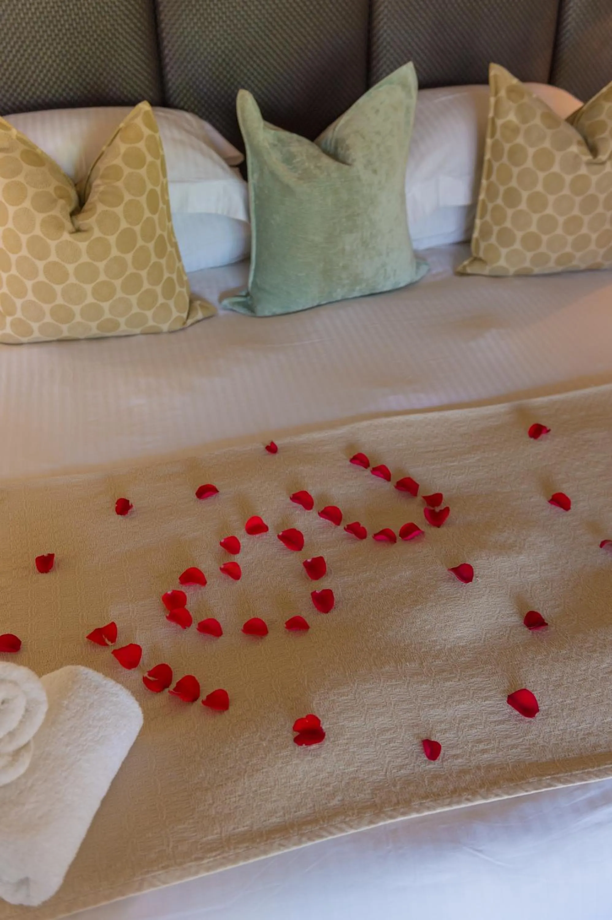 Bedroom, Bed in Lilayi Lodge