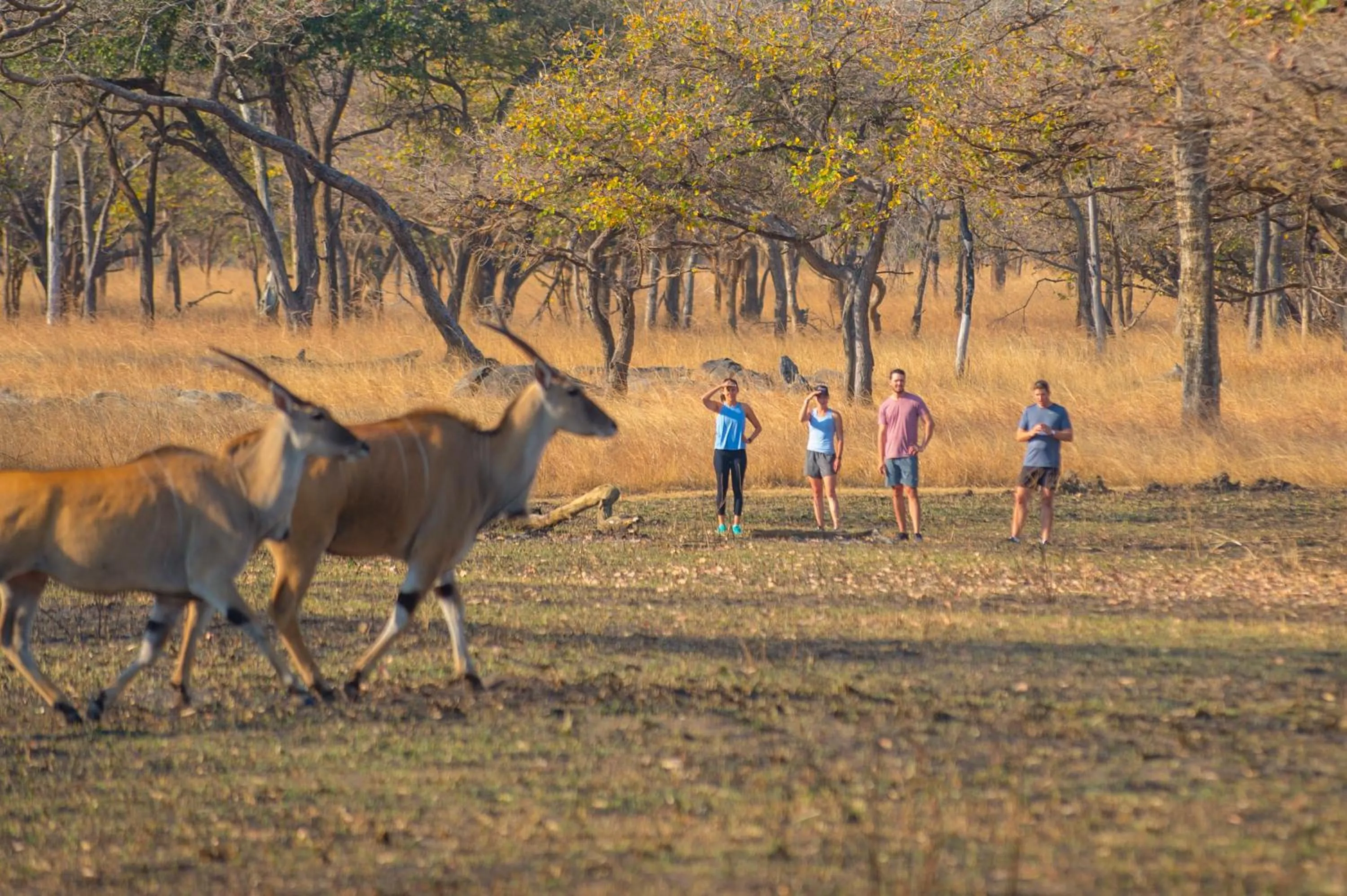 Hiking in Lilayi Lodge