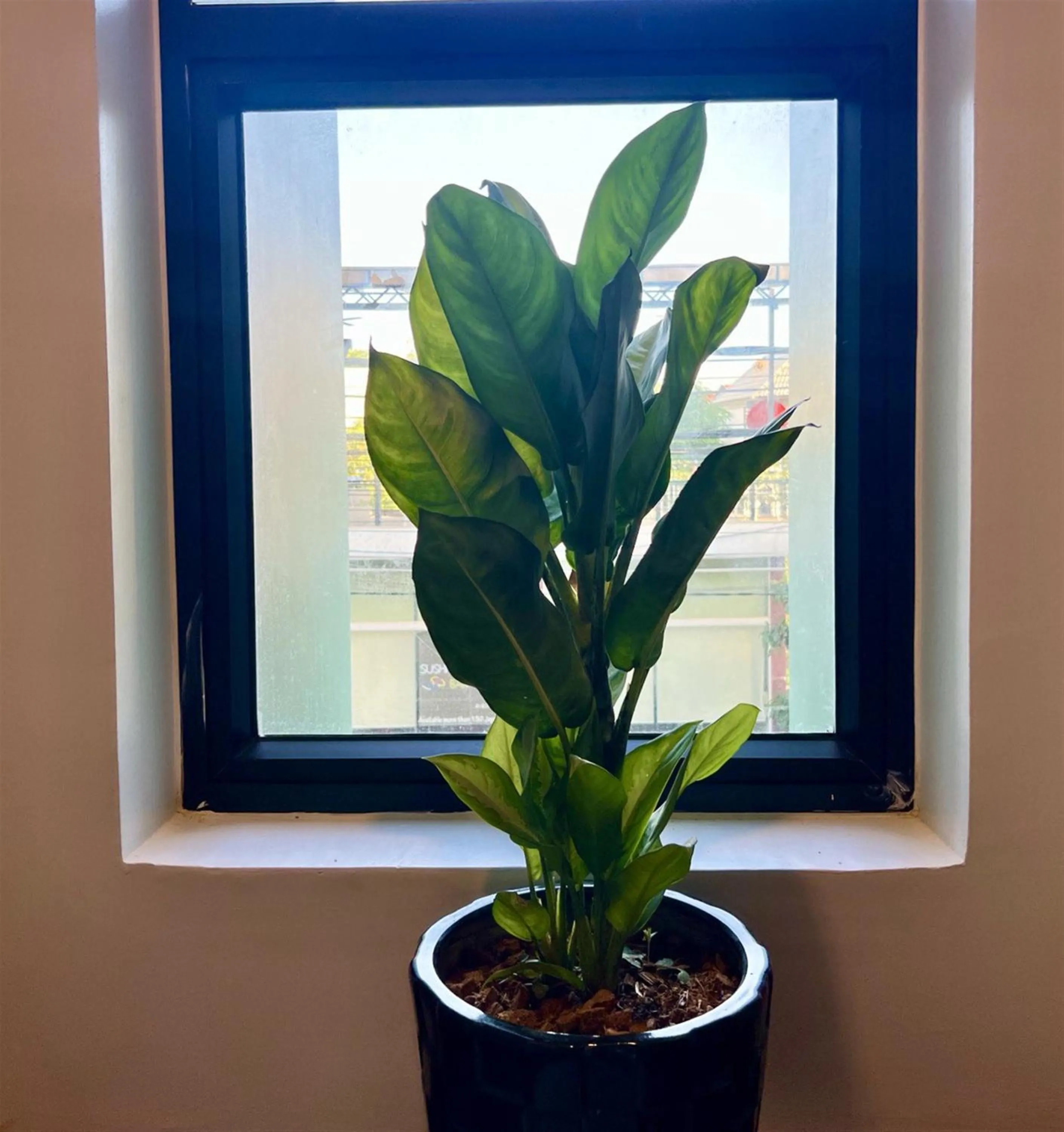 Floor plan in Le Vert Angkor Hotel