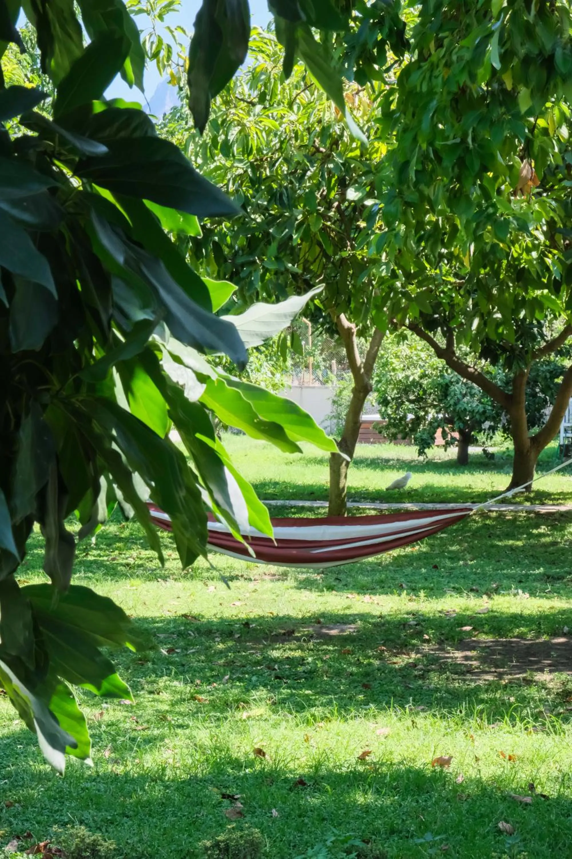 Property building in Apella Hotel