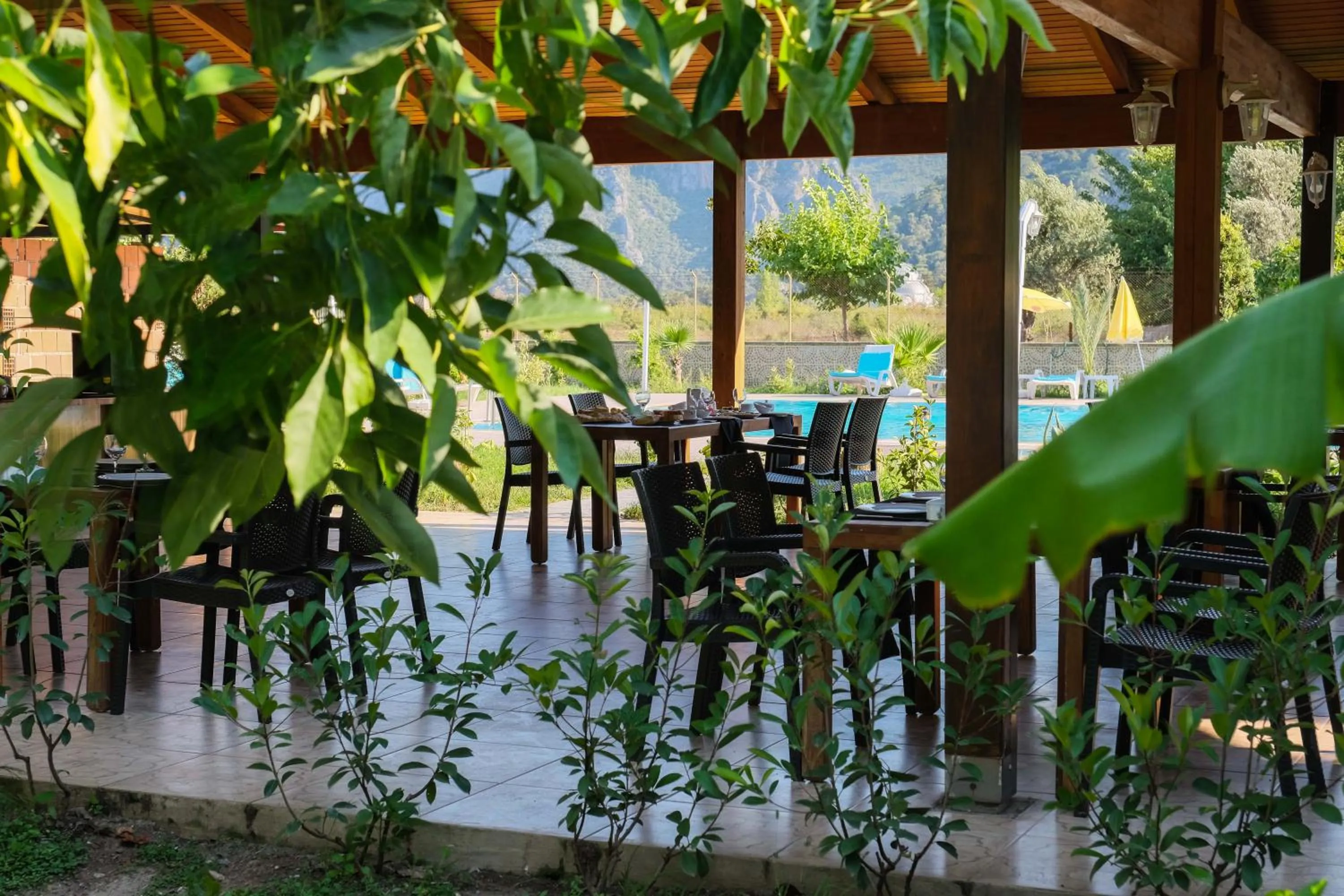 Restaurant/places to eat in Apella Hotel