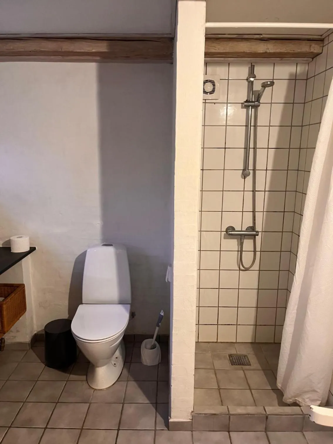 Toilet in City House