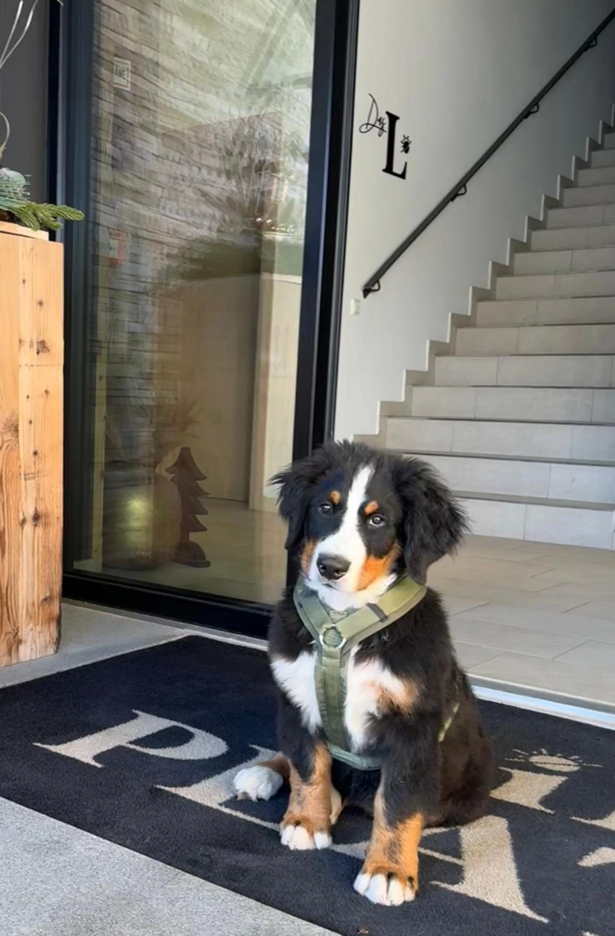 Property building in Das Liftplatzl