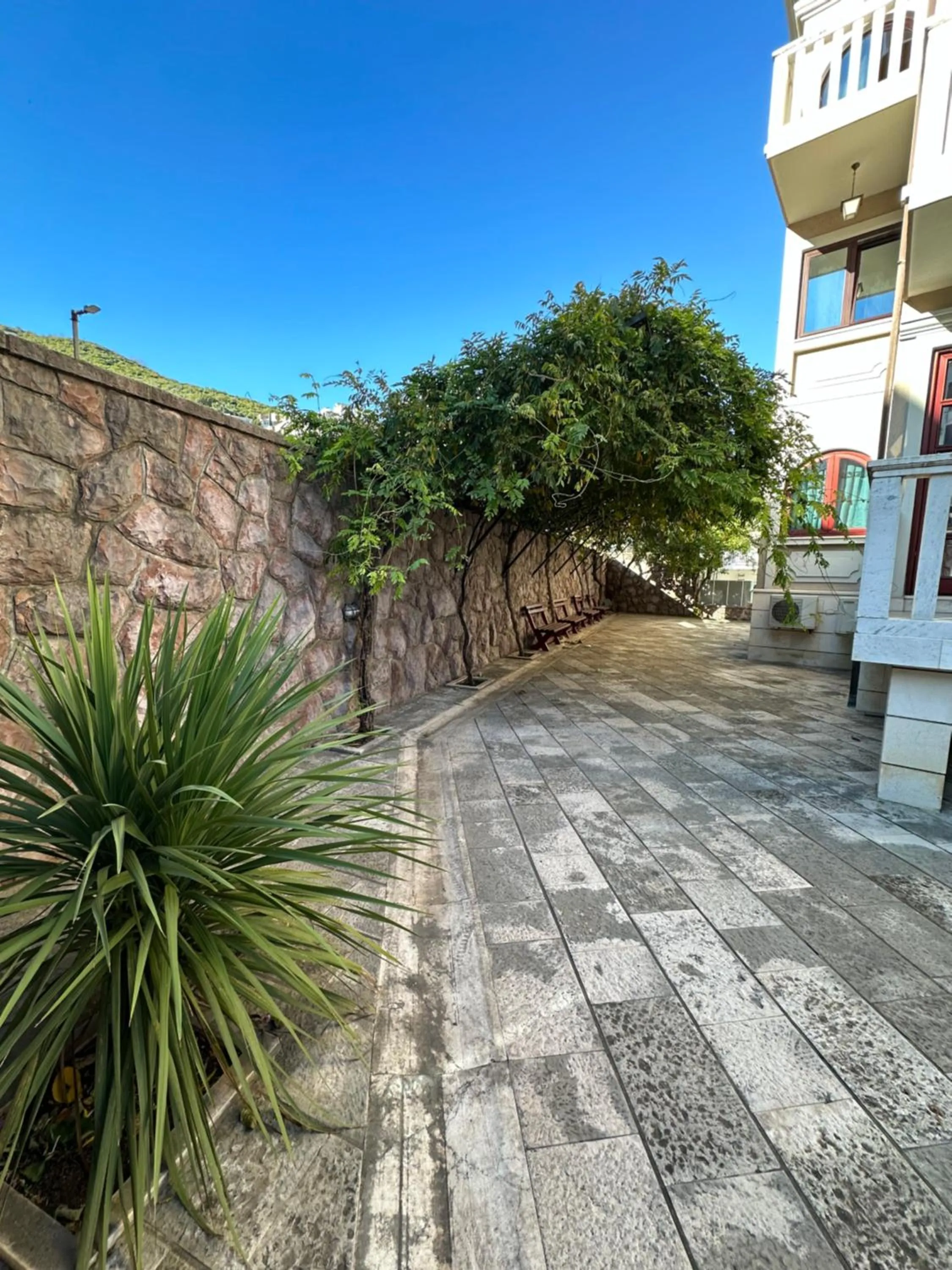 Garden in Beatrix Lux Hotel