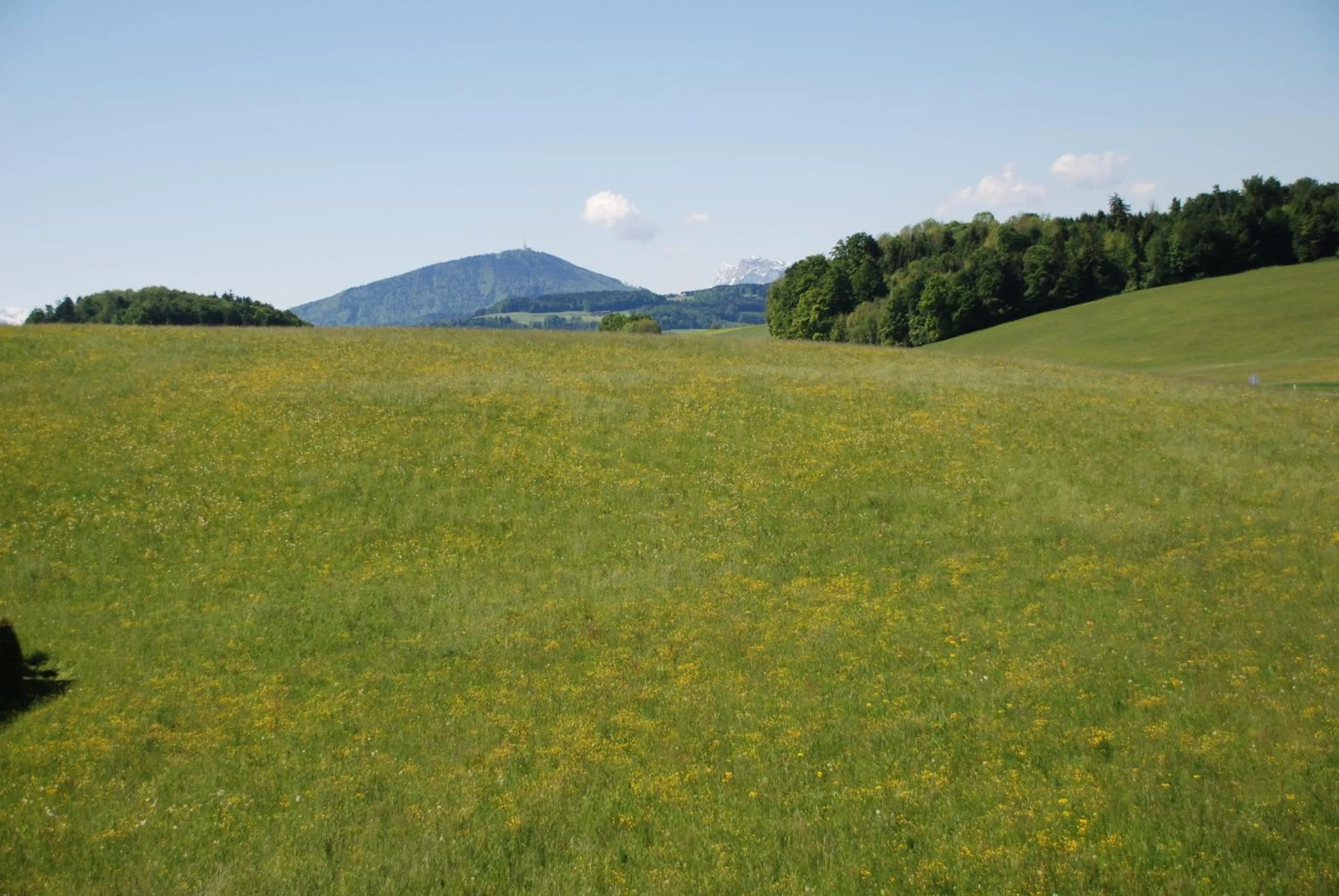 Area and facilities in Landhaus Brieger