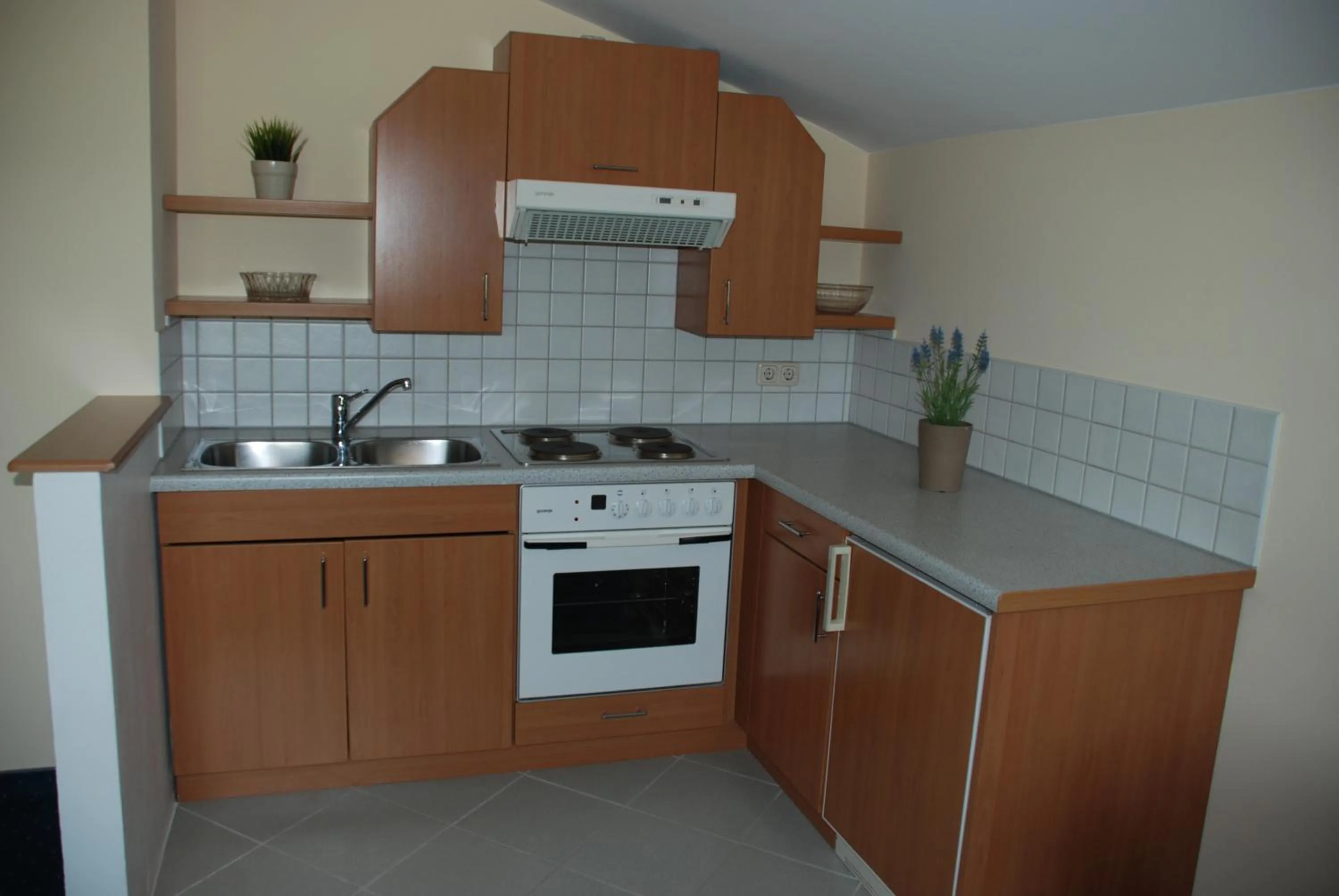 Kitchen or kitchenette in Landhaus Brieger