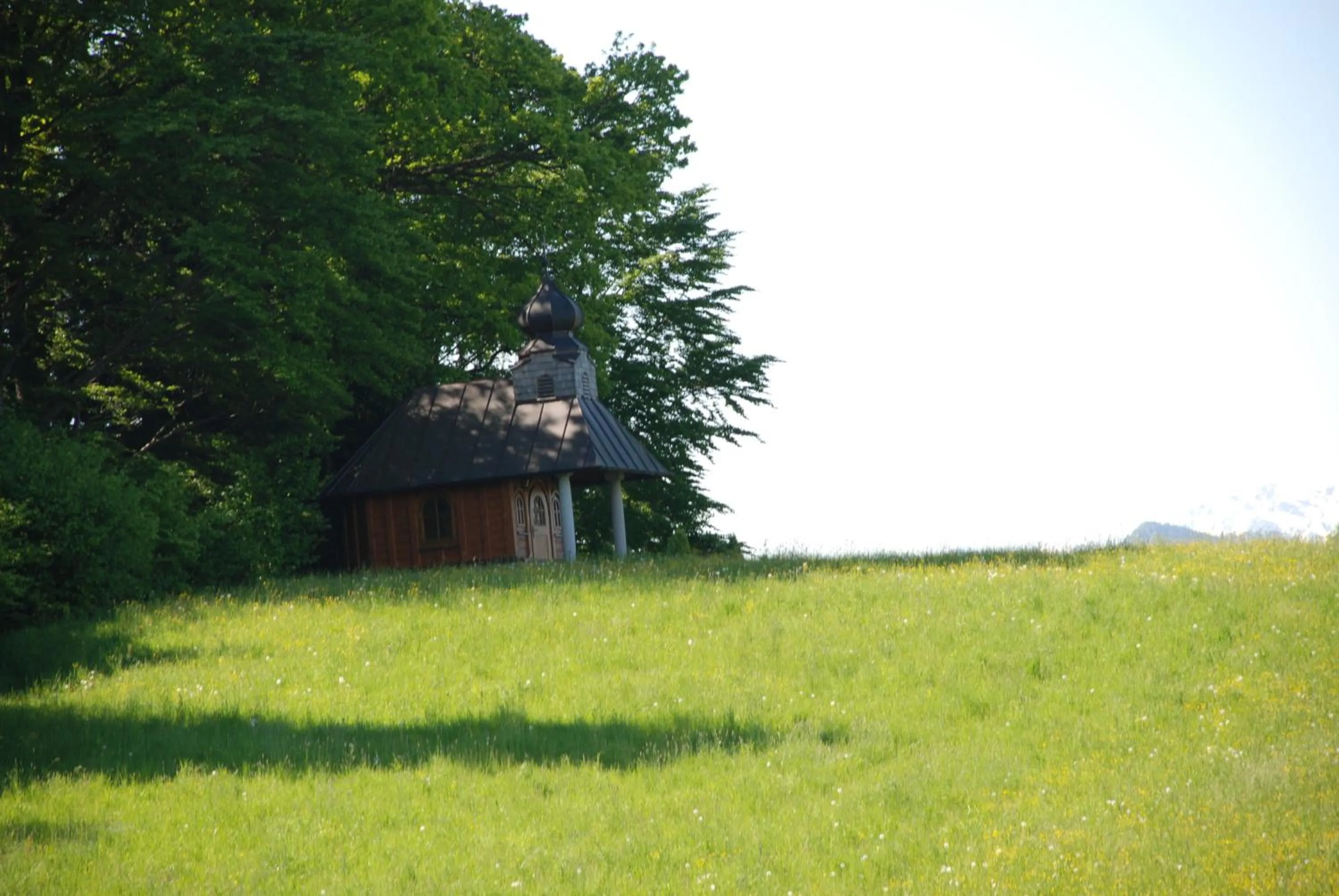 Natural landscape in Landhaus Brieger