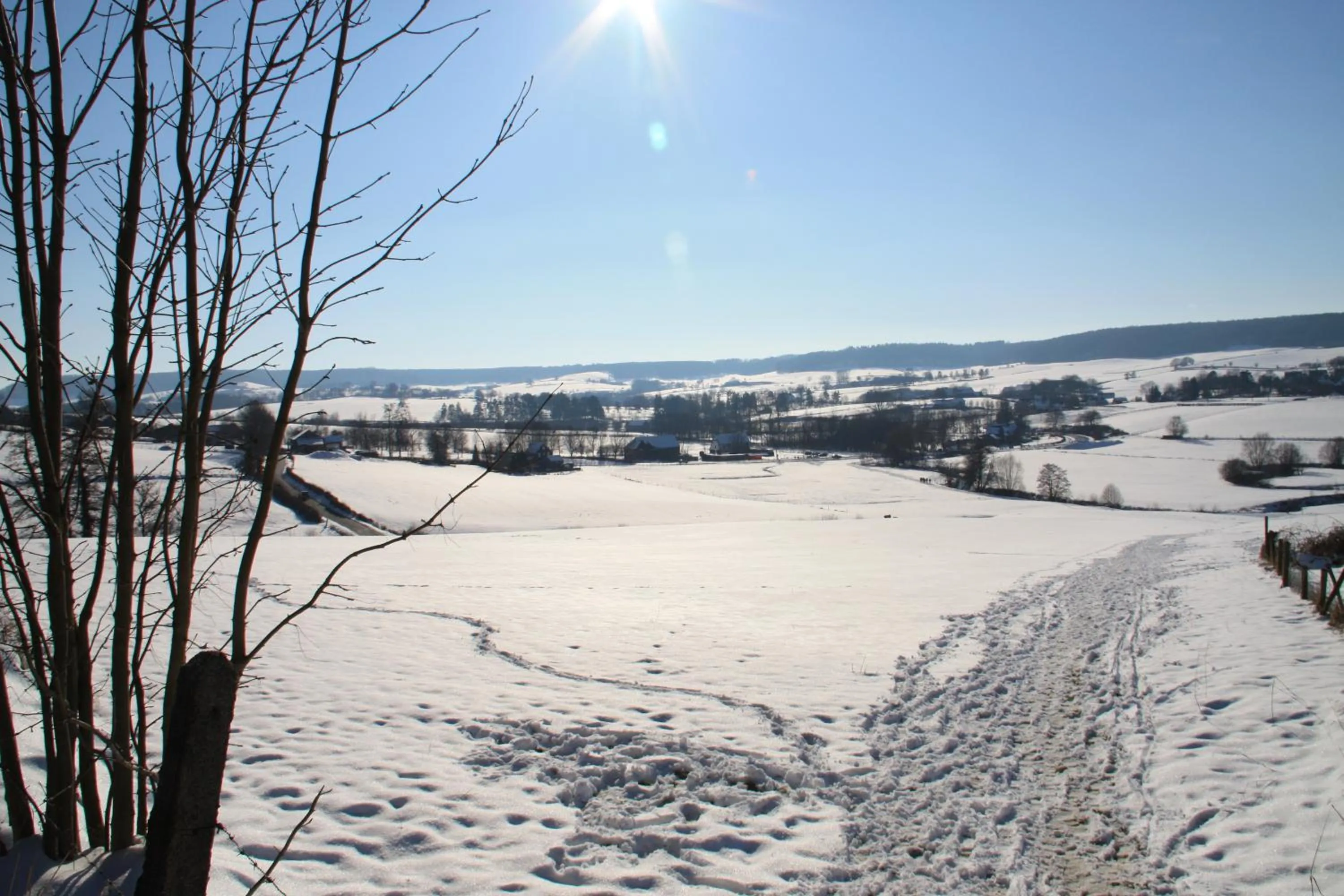Natural landscape in Hotel Gerardushoeve