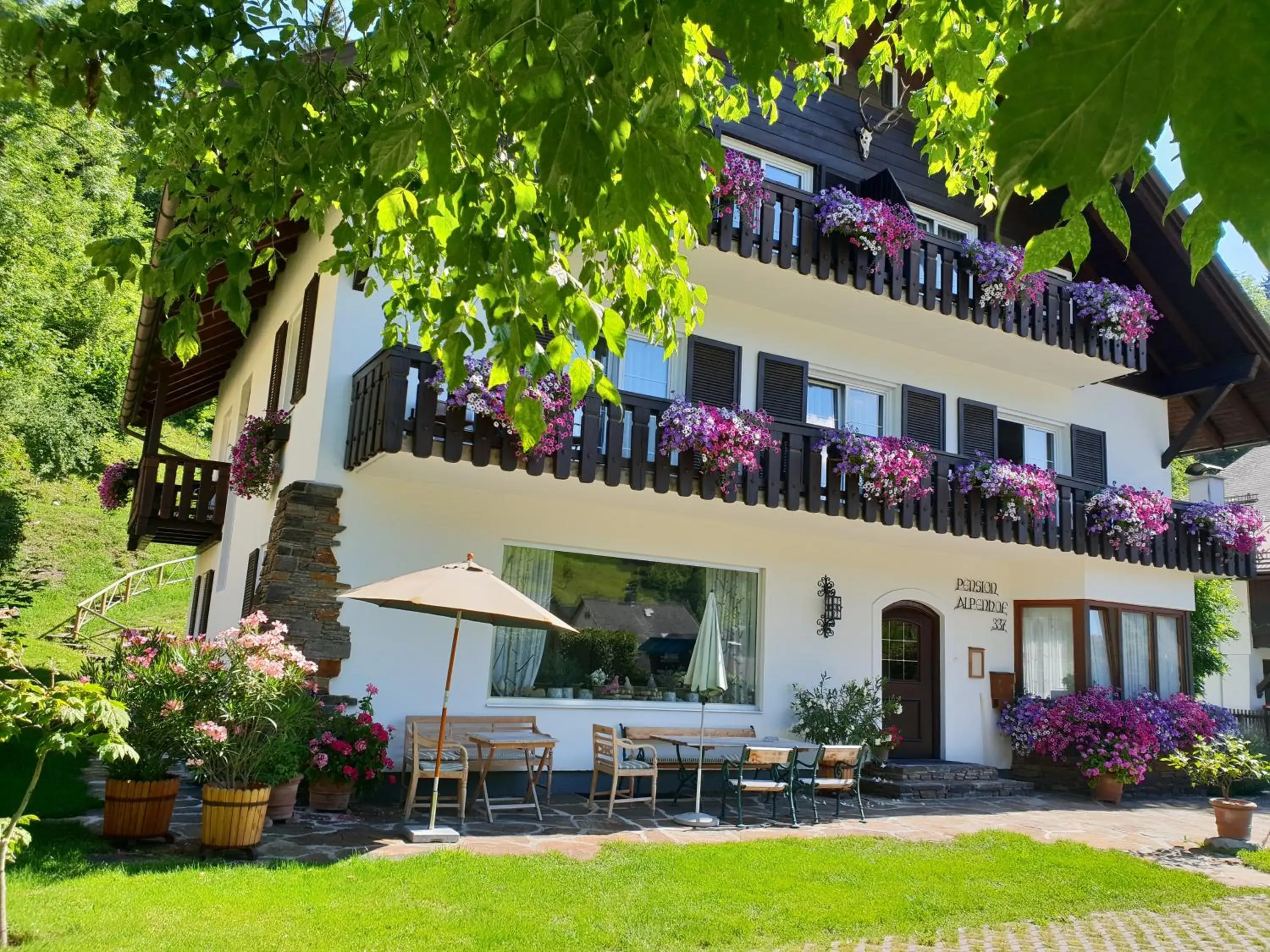 Pension Alpenhof Pension Alpenhof