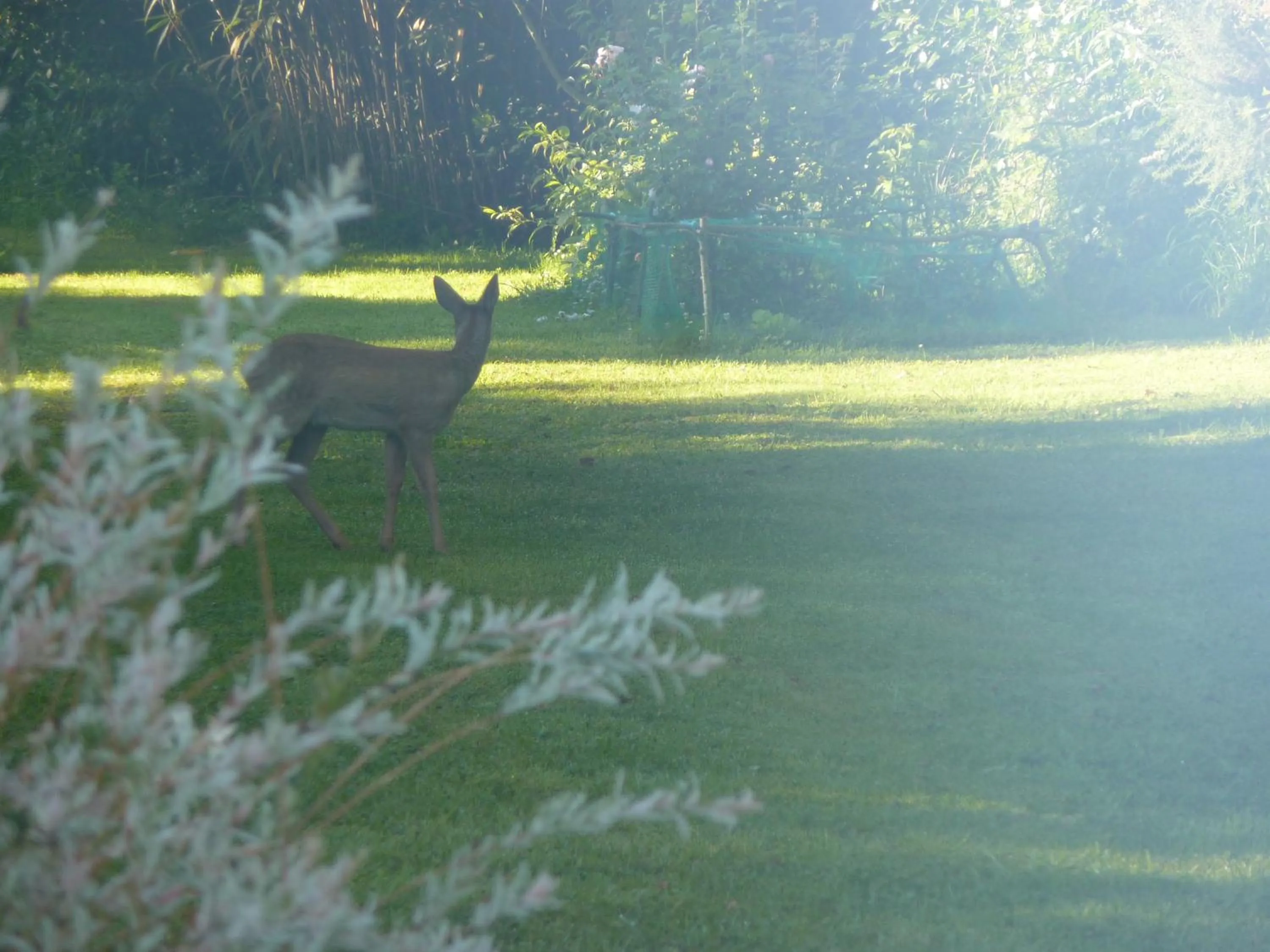 Decorative detail in La Belle Relax - calme et tranquillité assurés - 2 personnes
