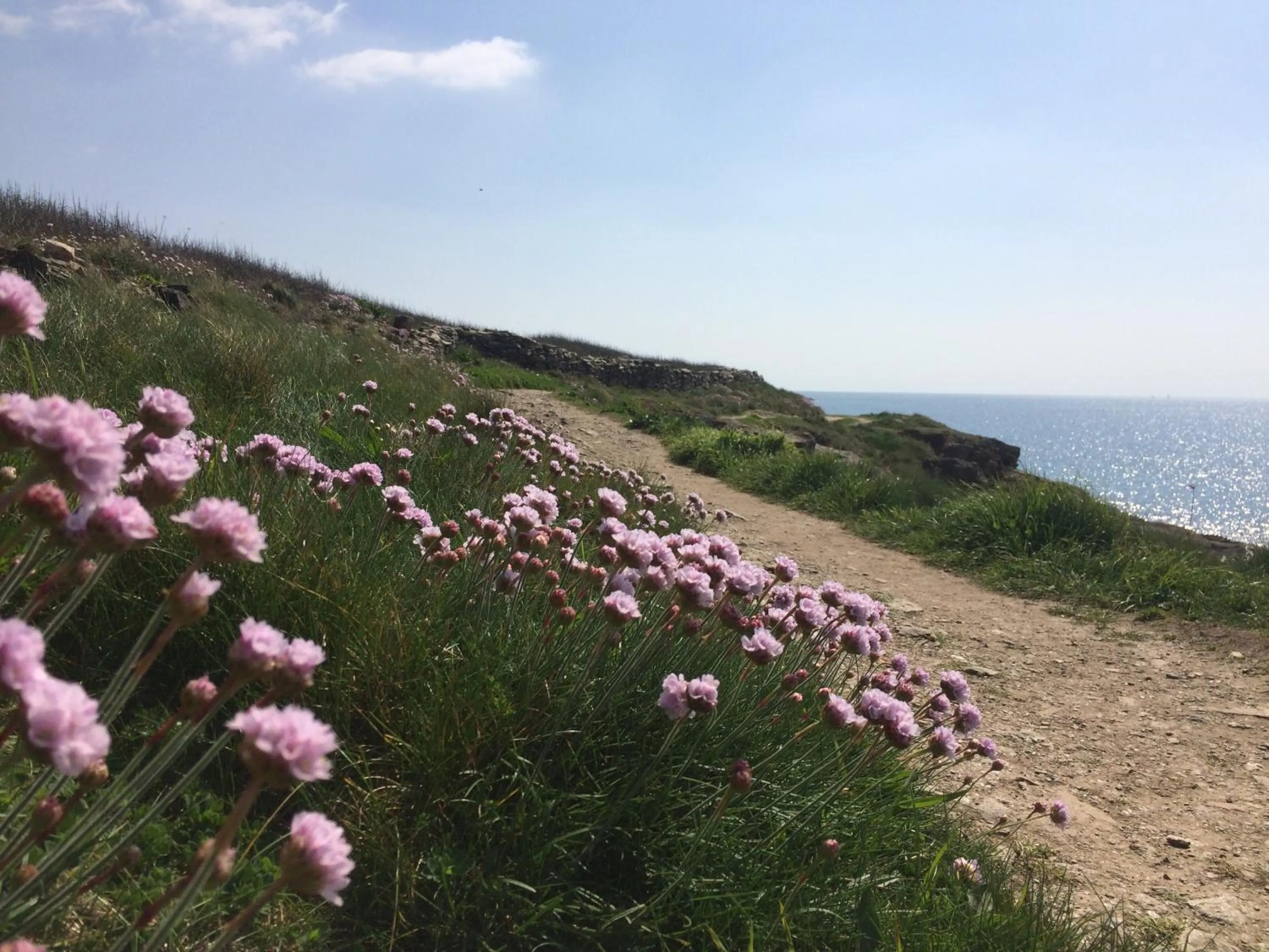 Natural landscape in La Belle Relax - calme et tranquillité assurés - 2 personnes