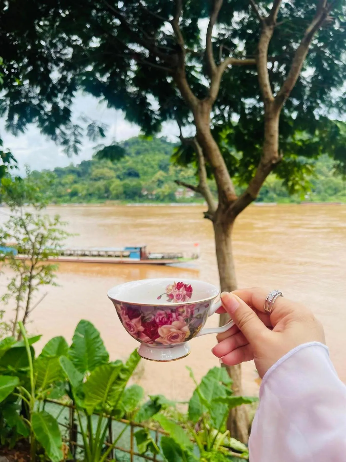Spring in Anisa Mekong Riverside Villa