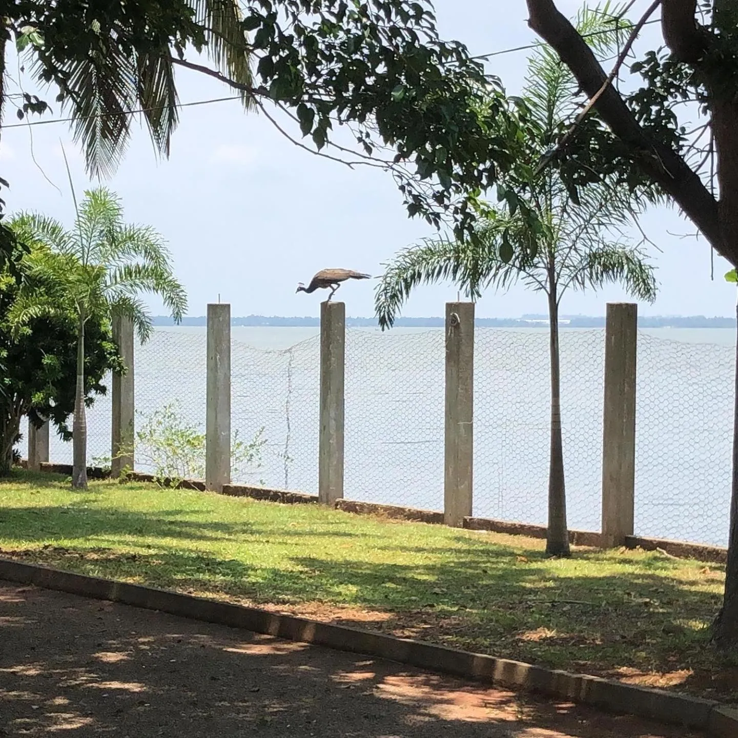 Hotel Lagoon Paradise