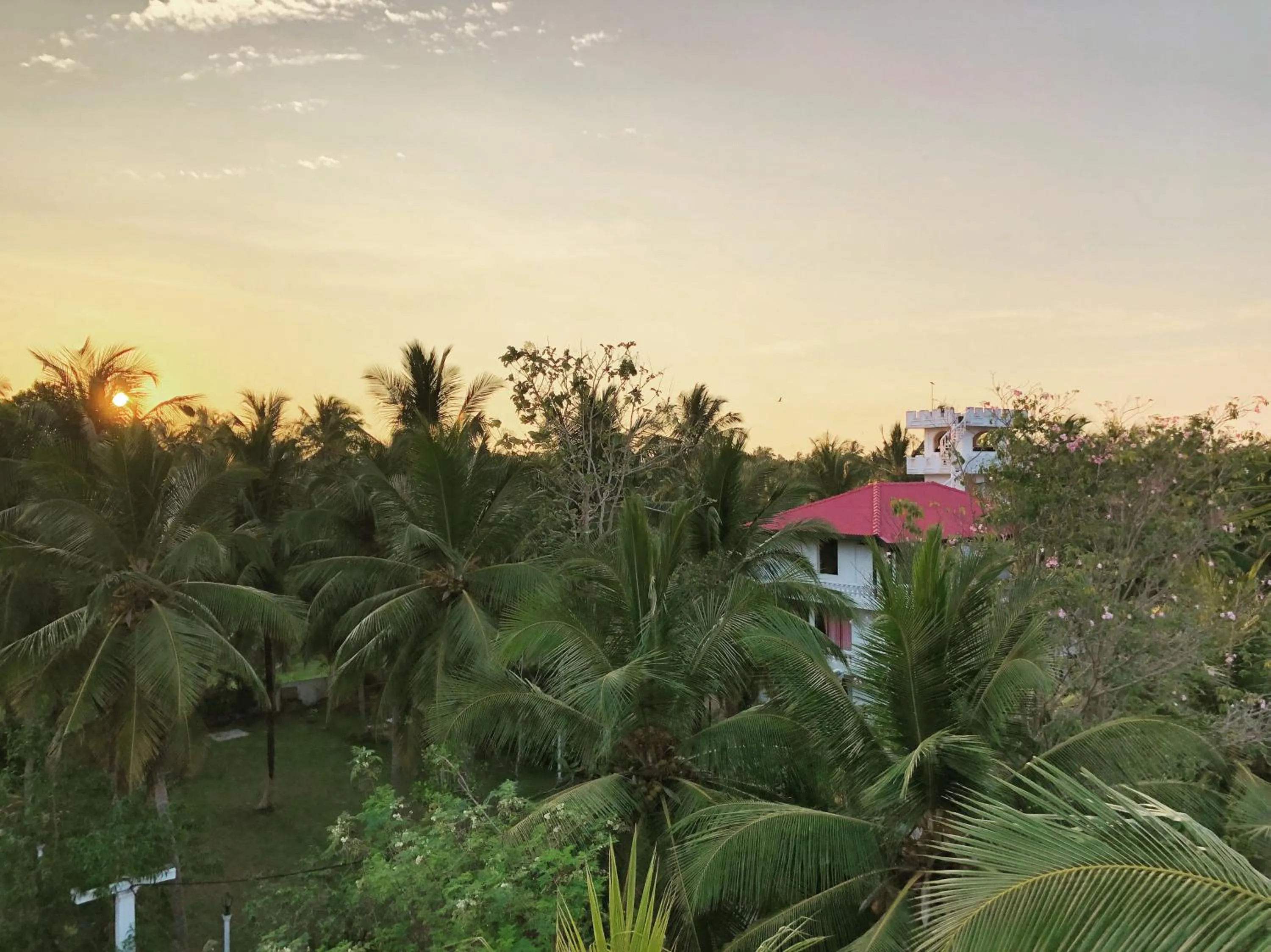 Hotel Lagoon Paradise