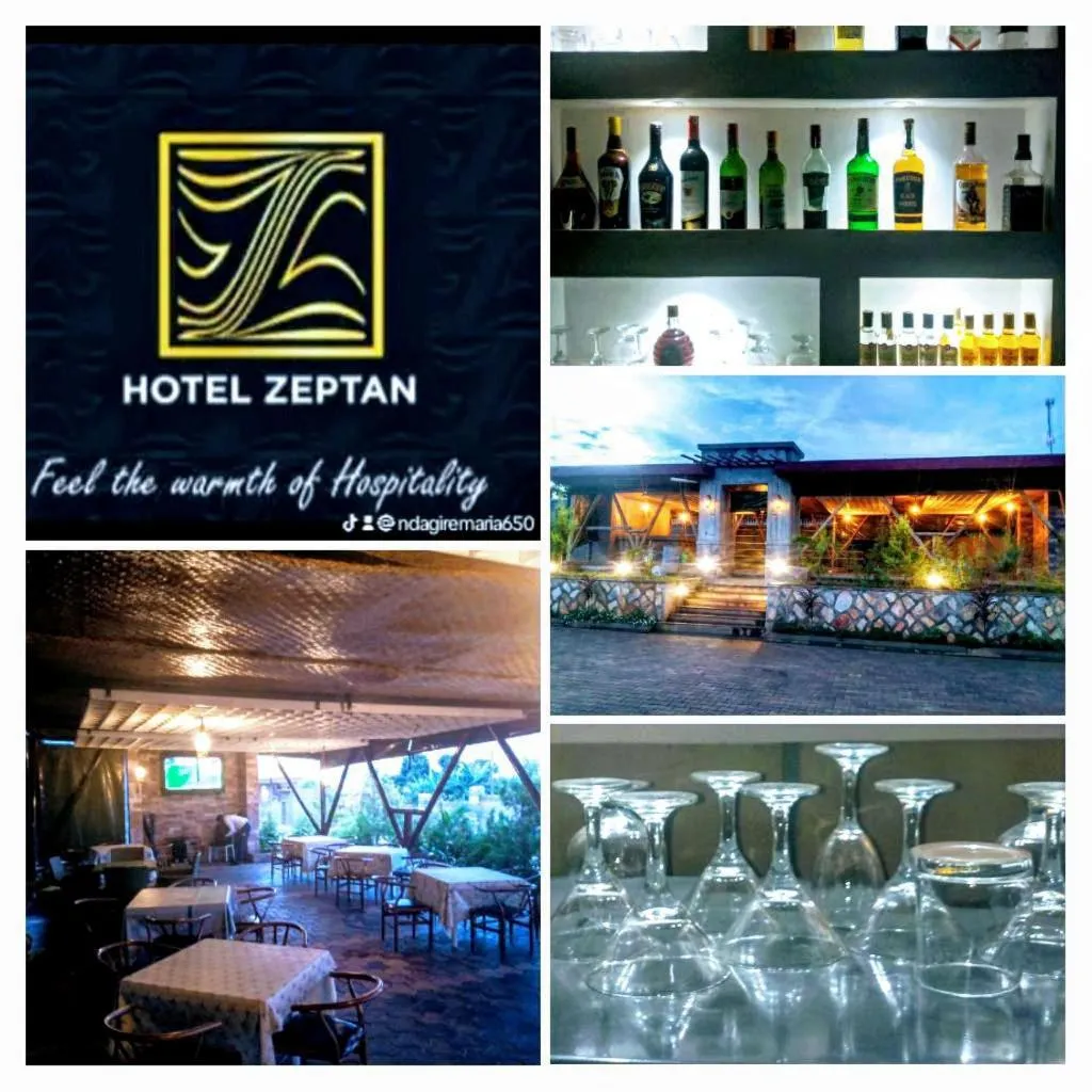 Lounge or bar in HOTEL ZEPTAN