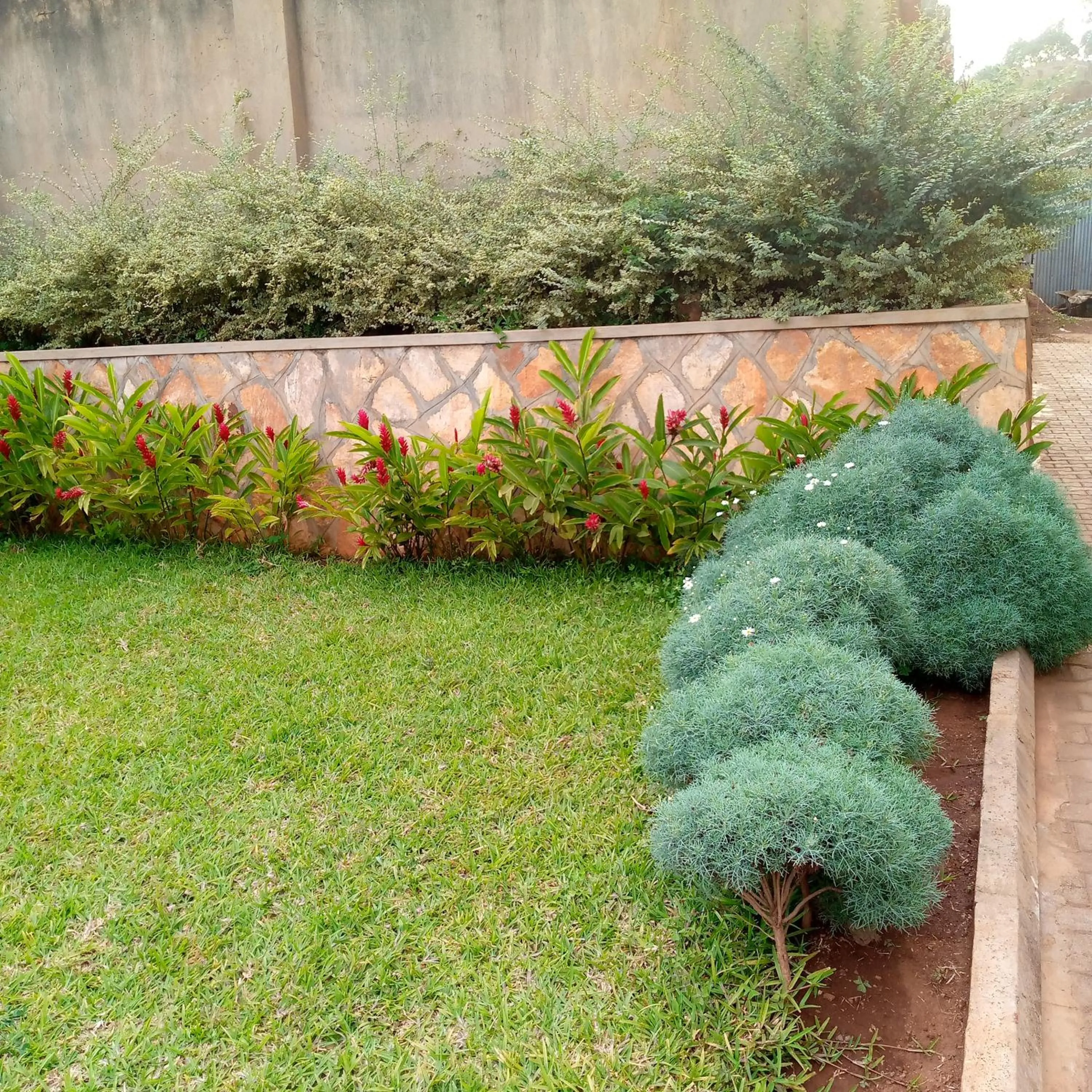 Garden in HOTEL ZEPTAN